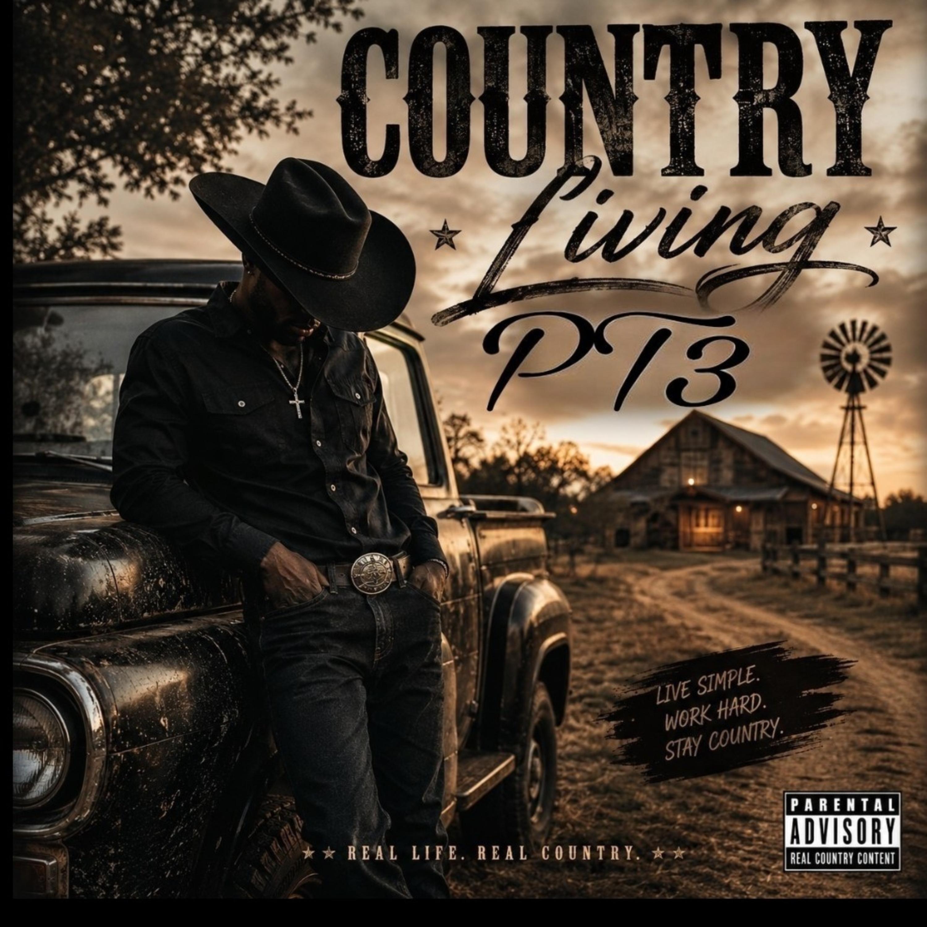 Country Living Pt3 by November Falling cover art