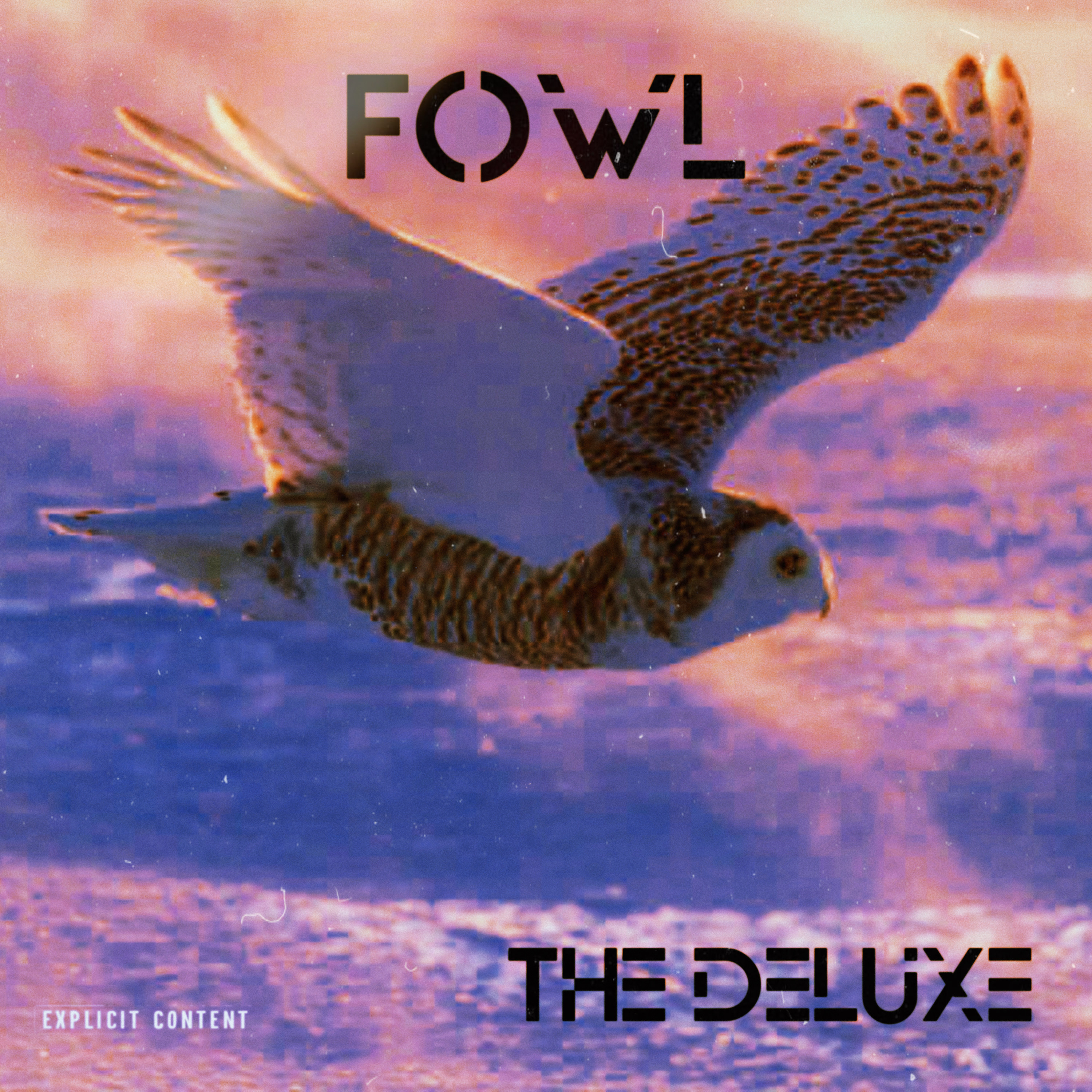 Fowl The Deluxe artwork