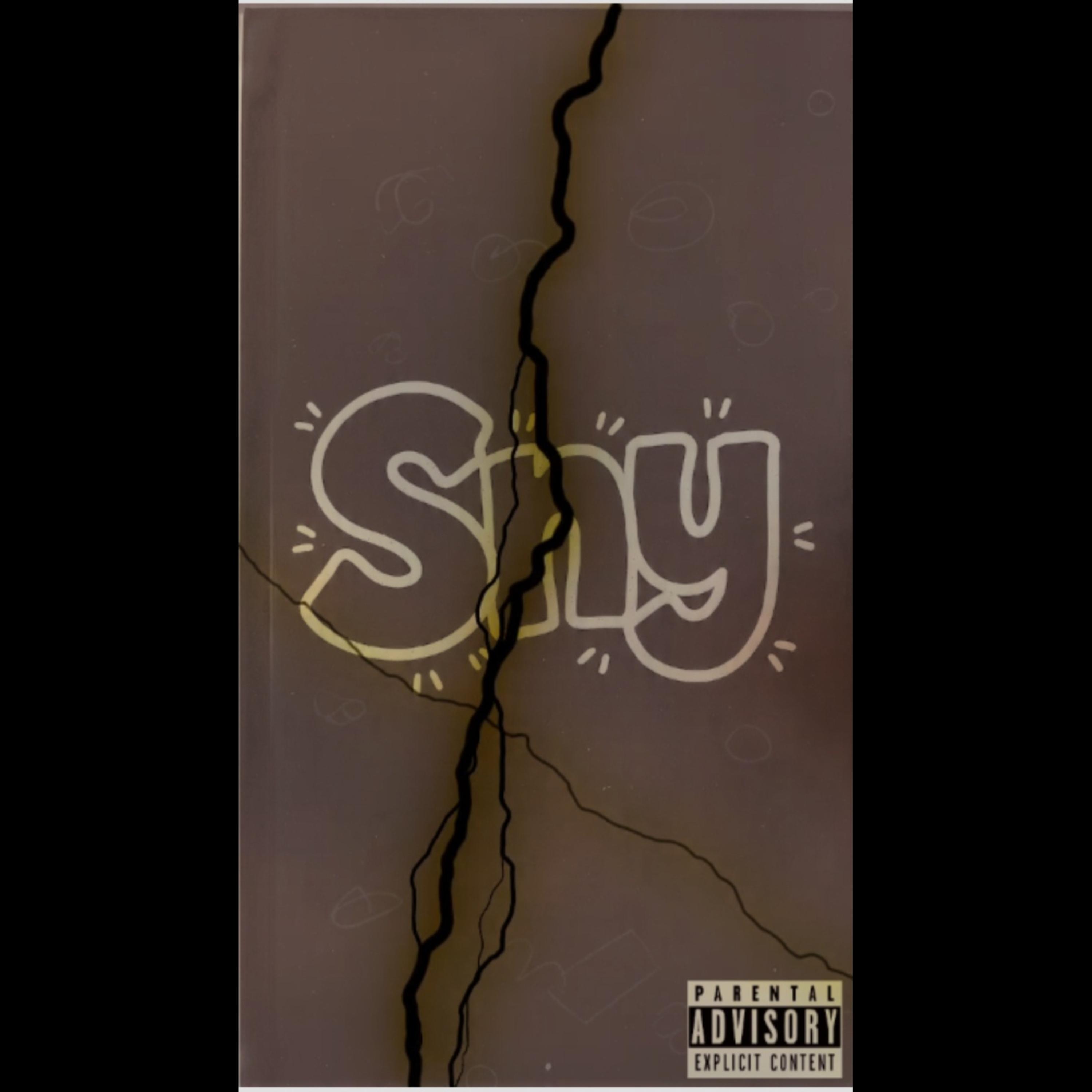 sny artwork