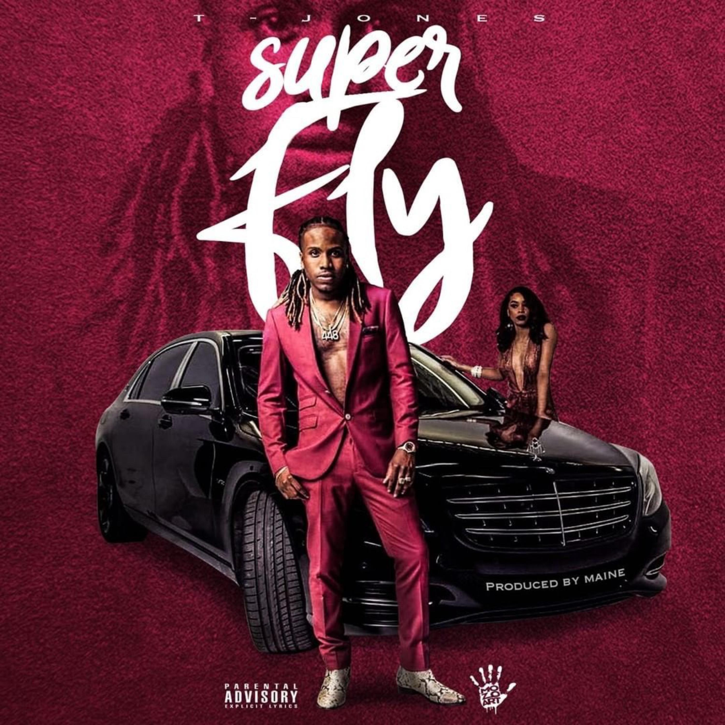 Super Fly artwork