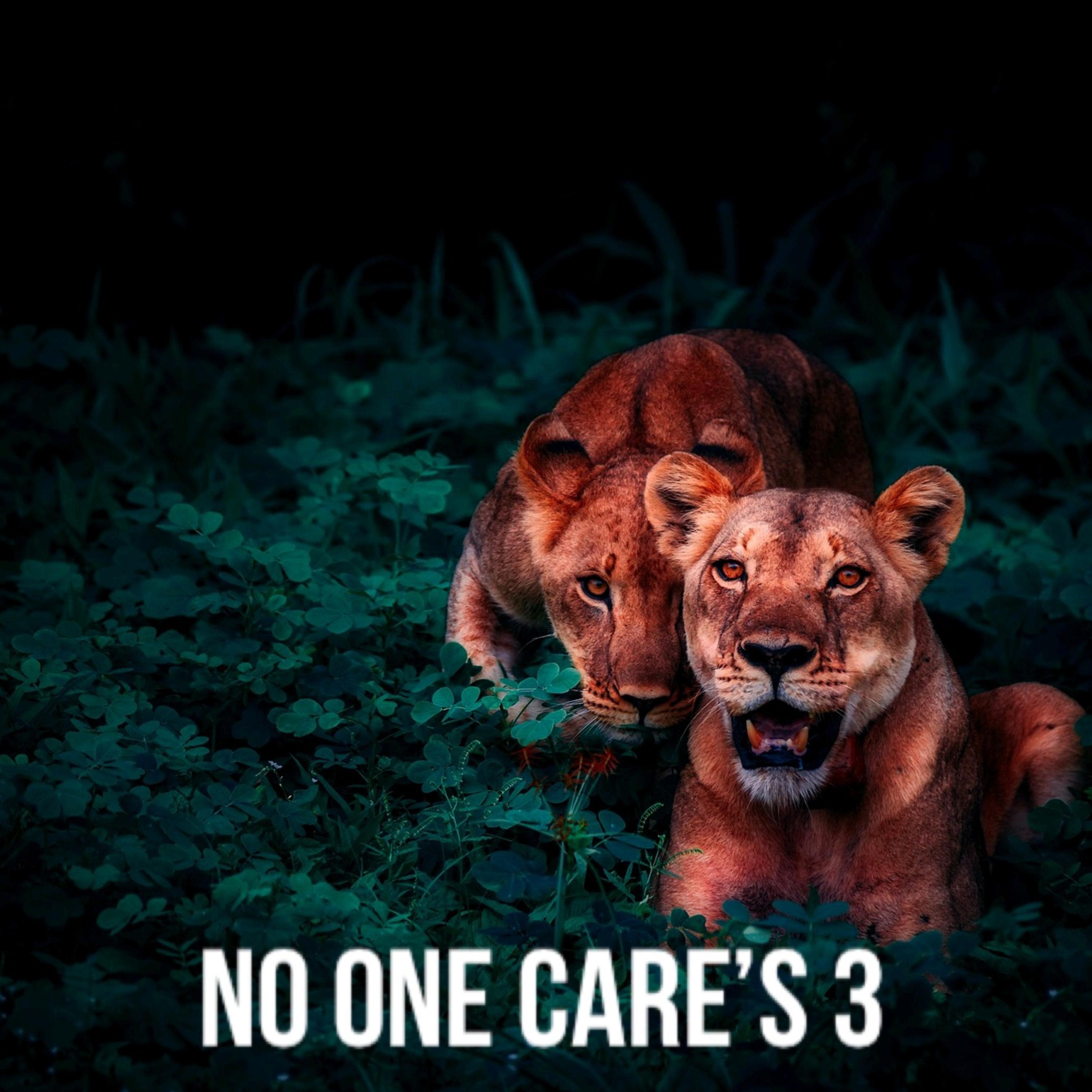 NO ONE CARE’S 3 artwork