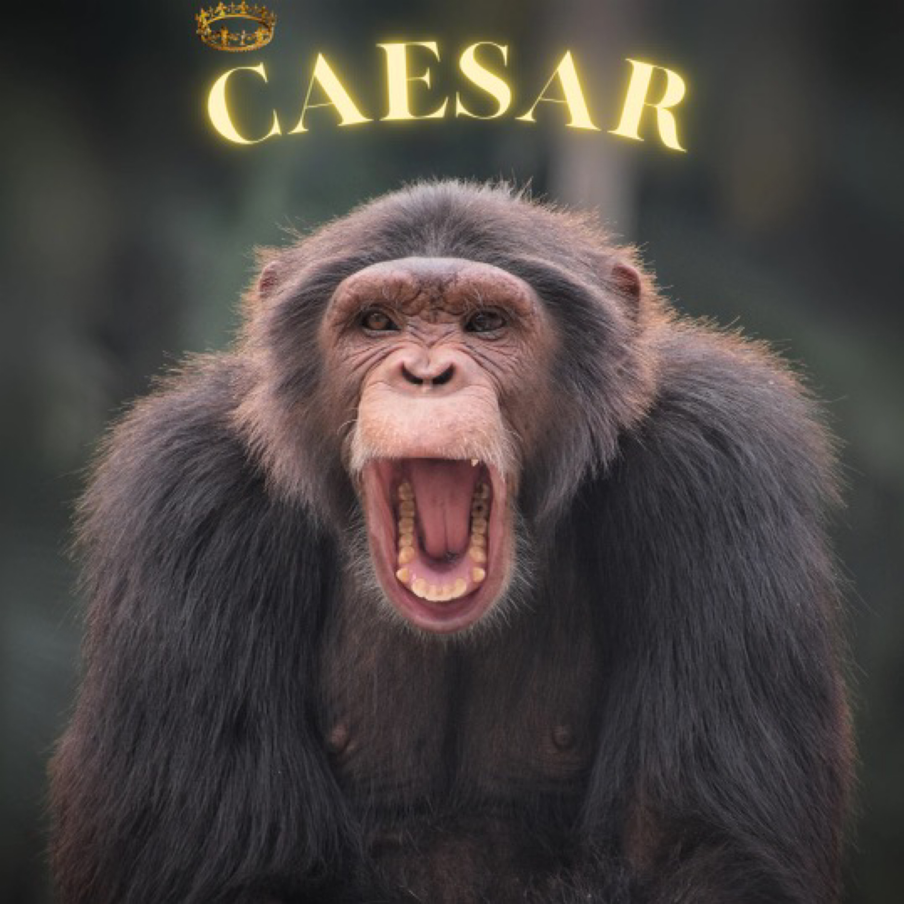 Caesar artwork