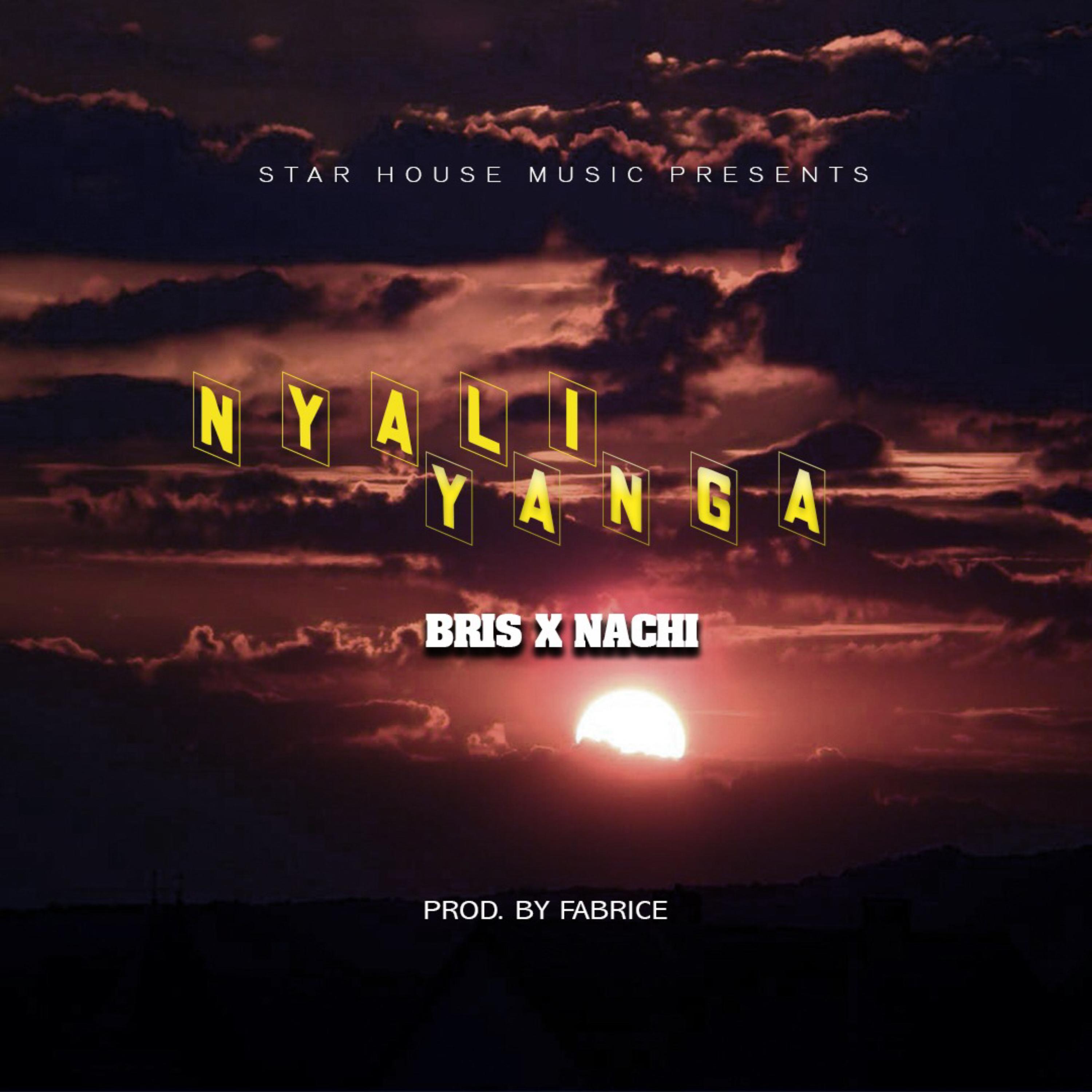 Nyali Yanga artwork