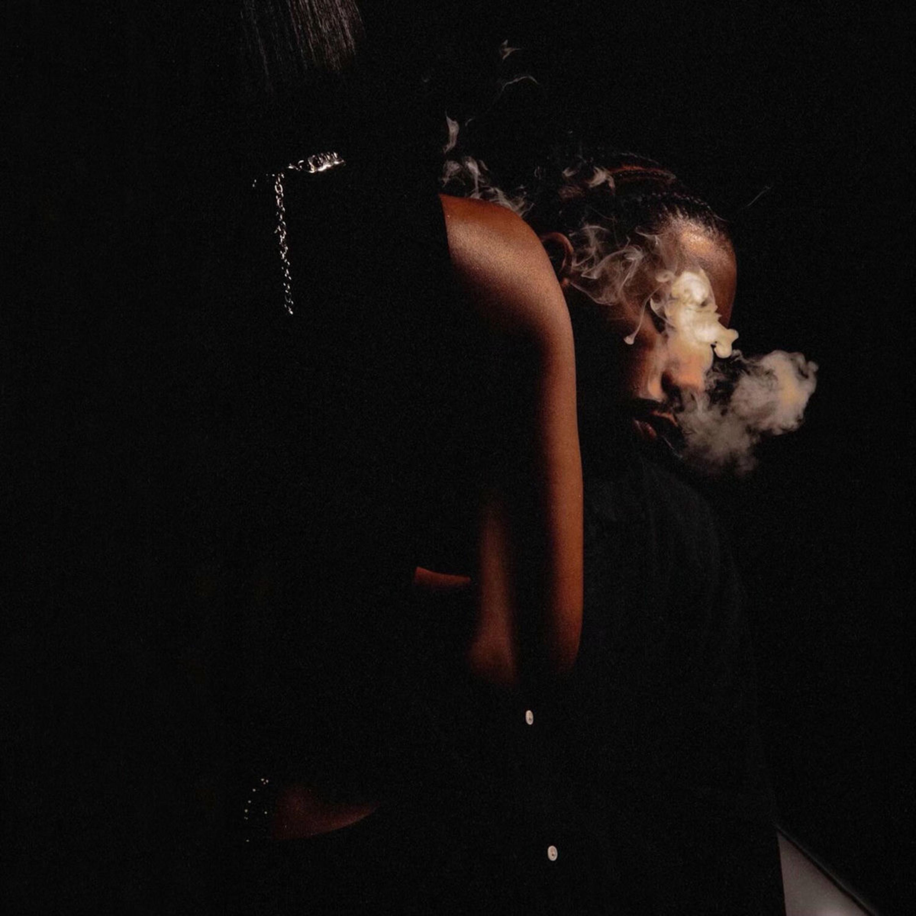 Badgirl by Ventwoodz cover art