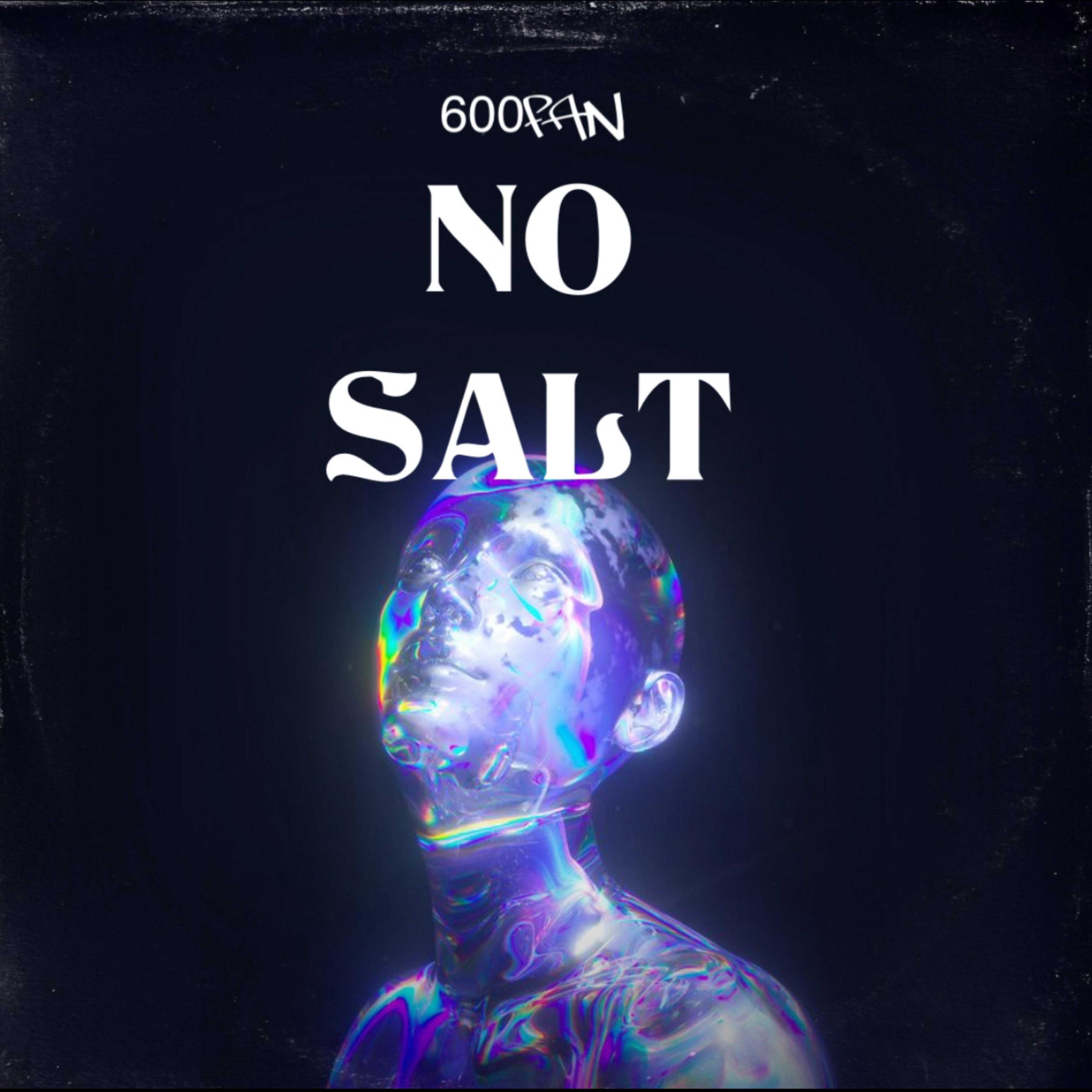 No Salt artwork