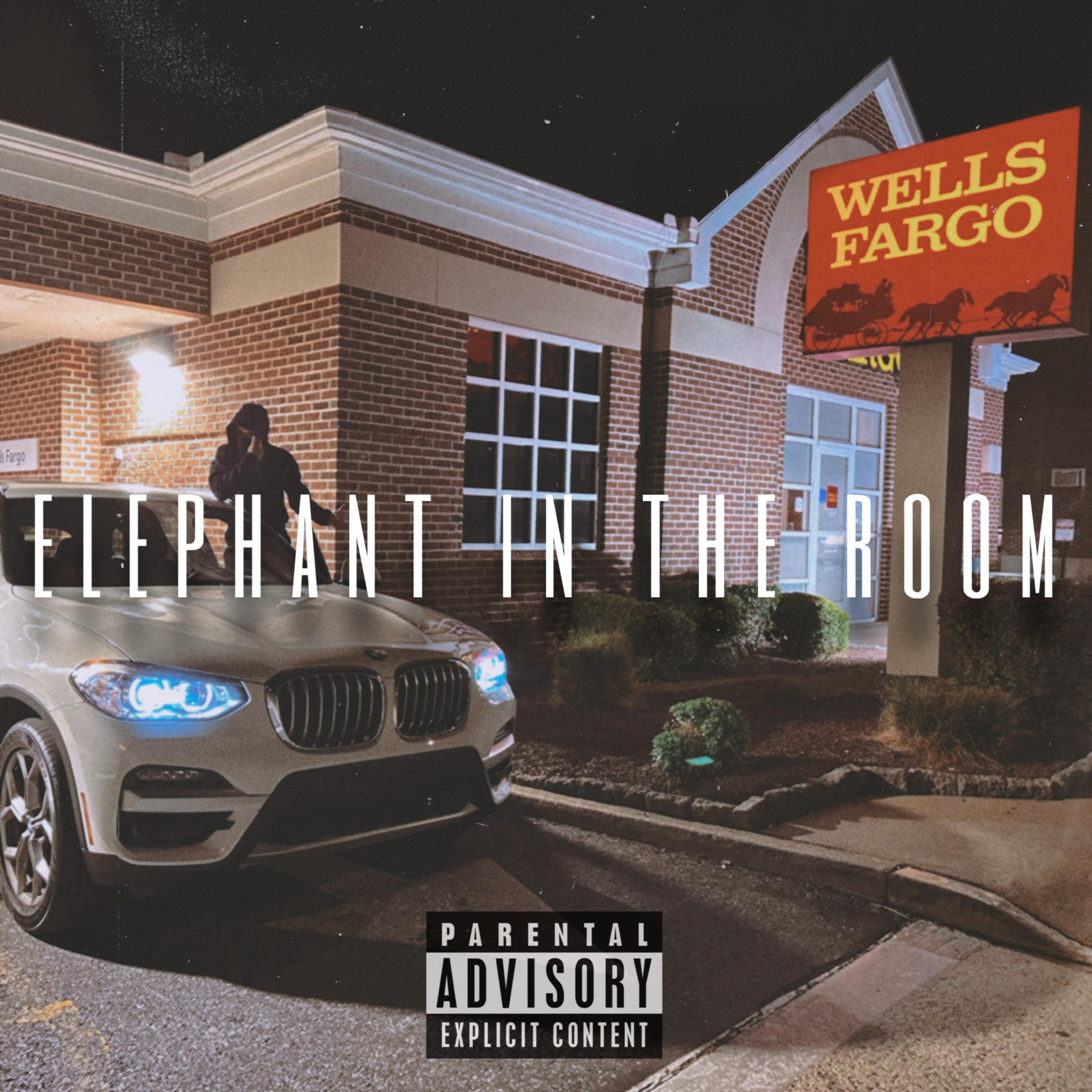 Elephant In The Room artwork