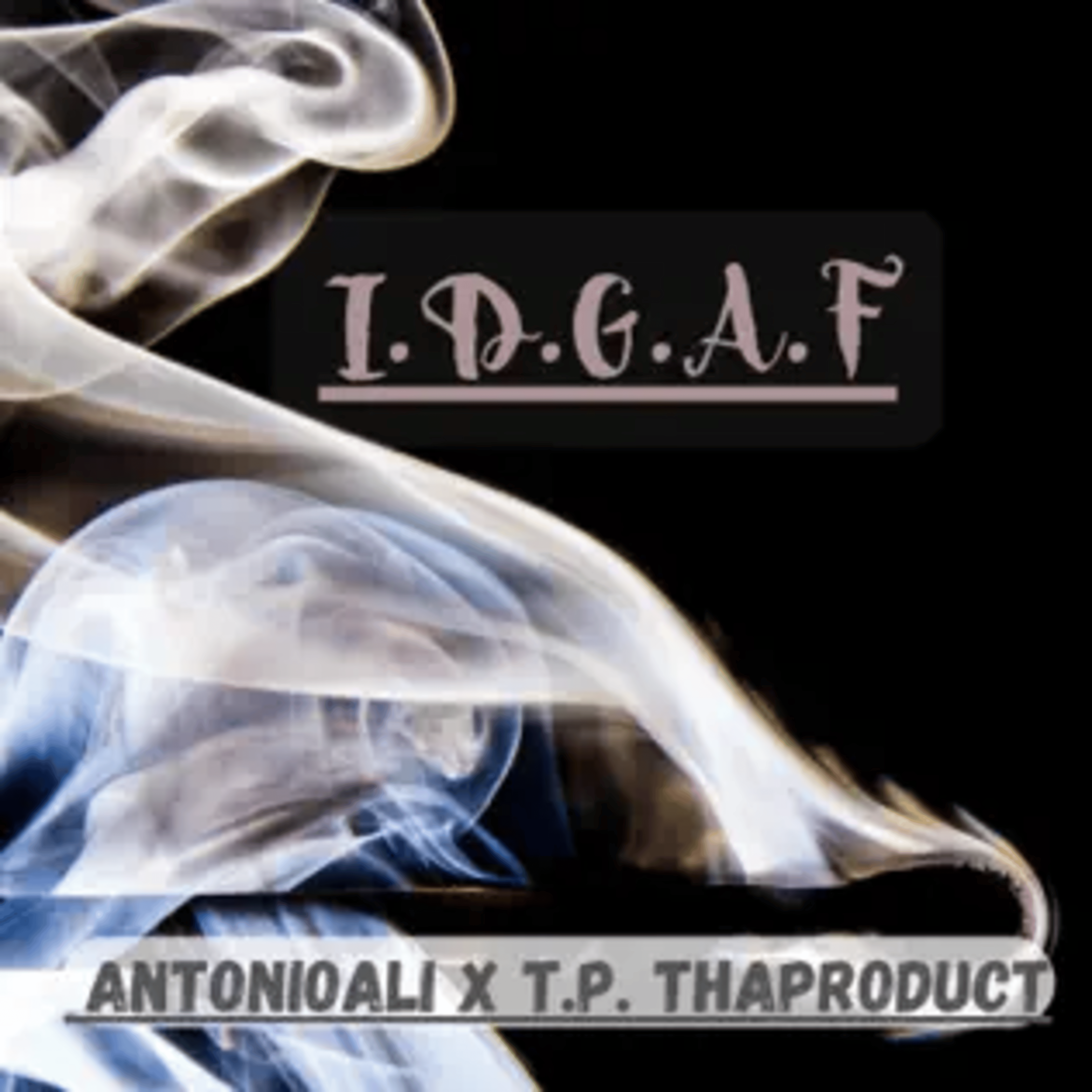 I.D.G.A.F artwork