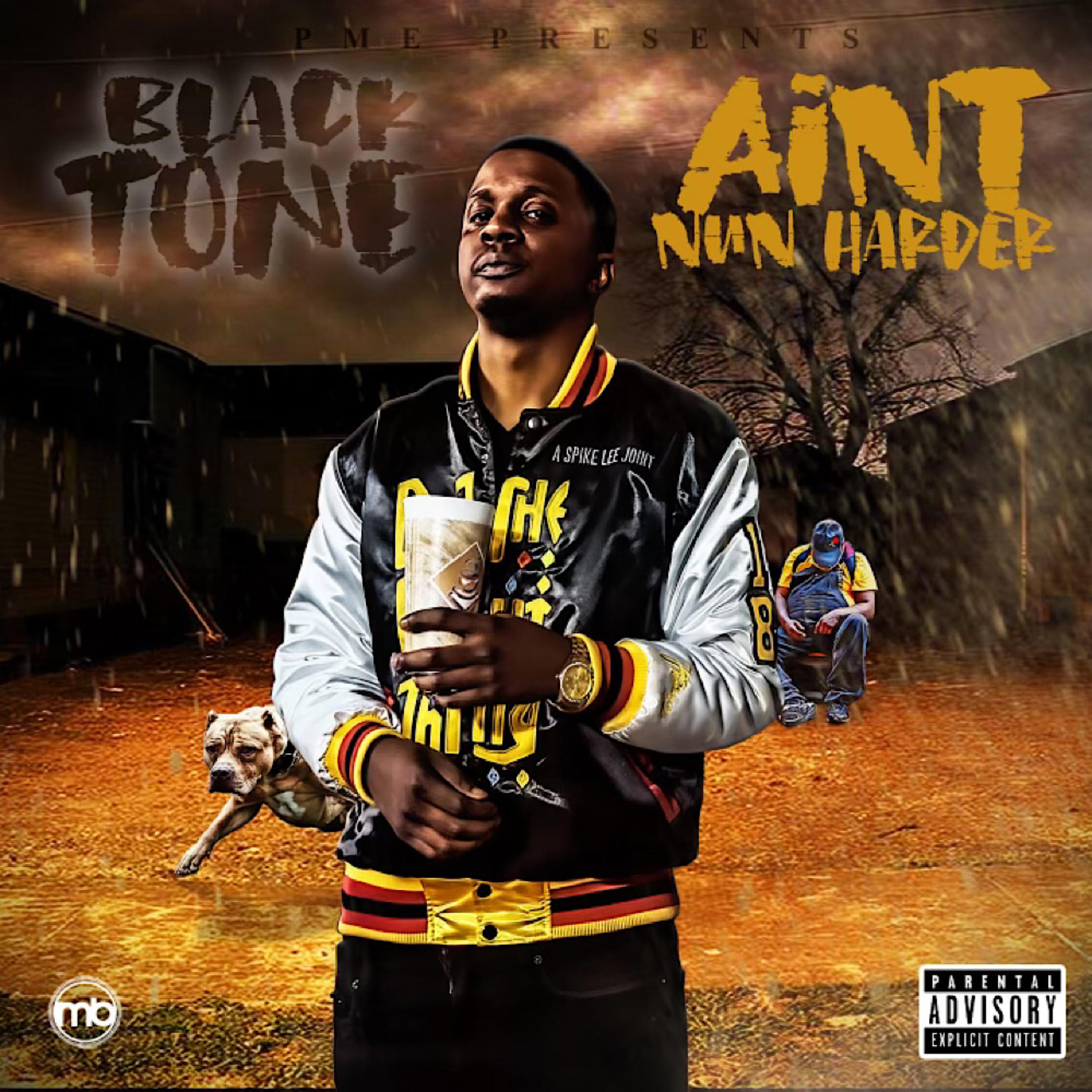 Aint Nun Harder artwork