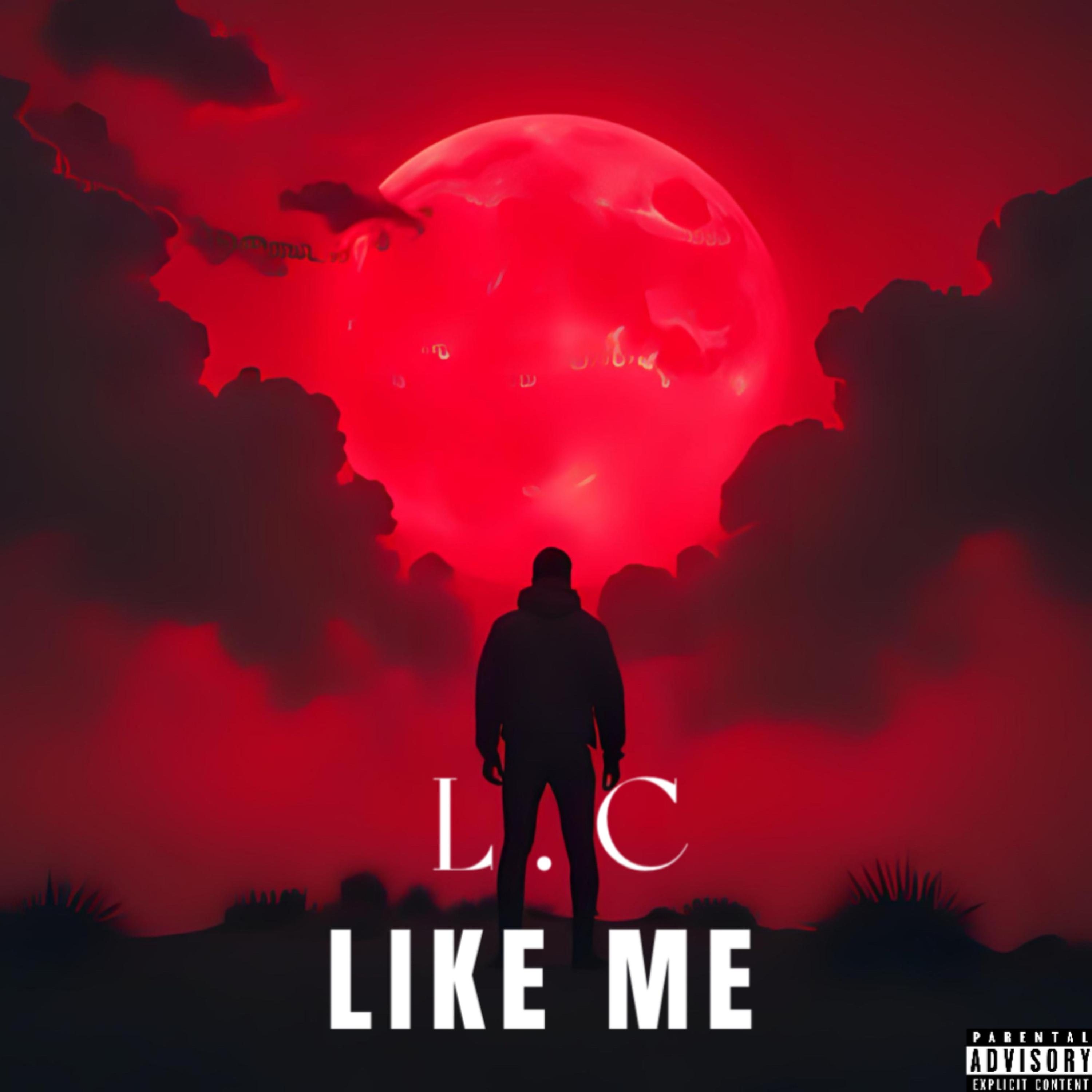 Like Me artwork