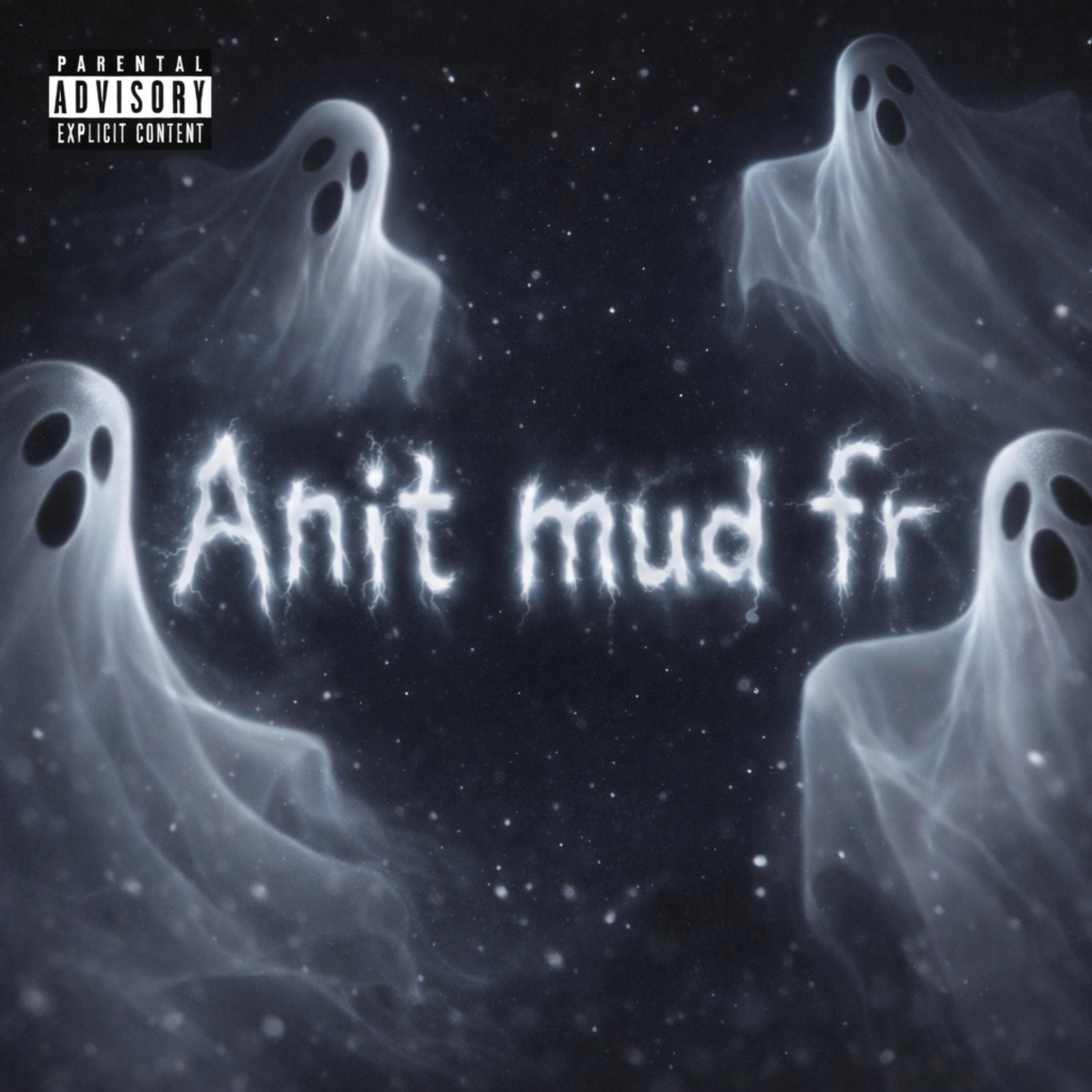 Anit Mud Fr artwork