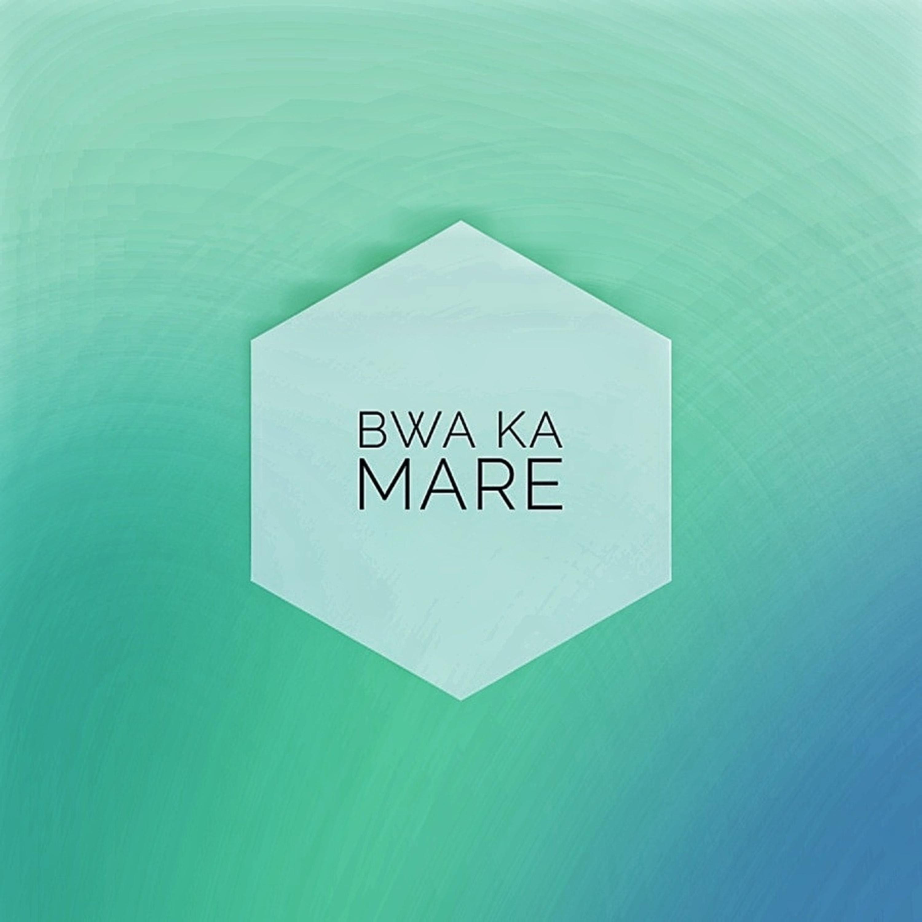 Bwa Ka Mare artwork