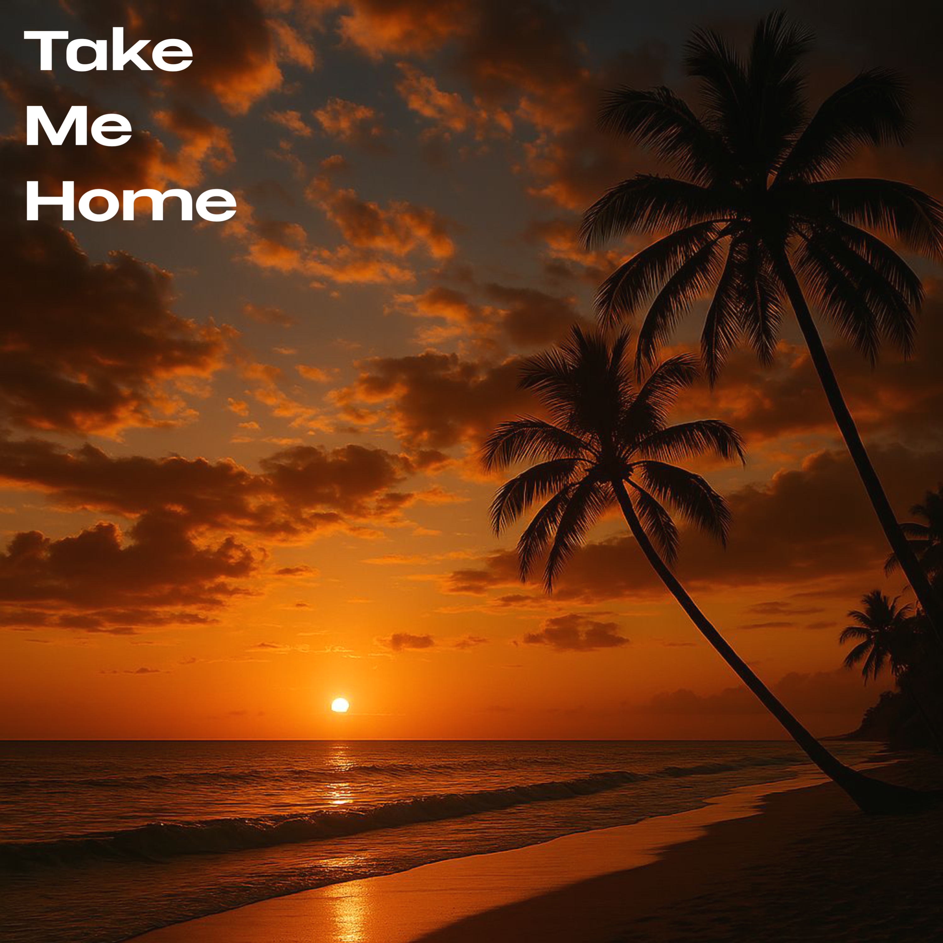 Take Me Home artwork