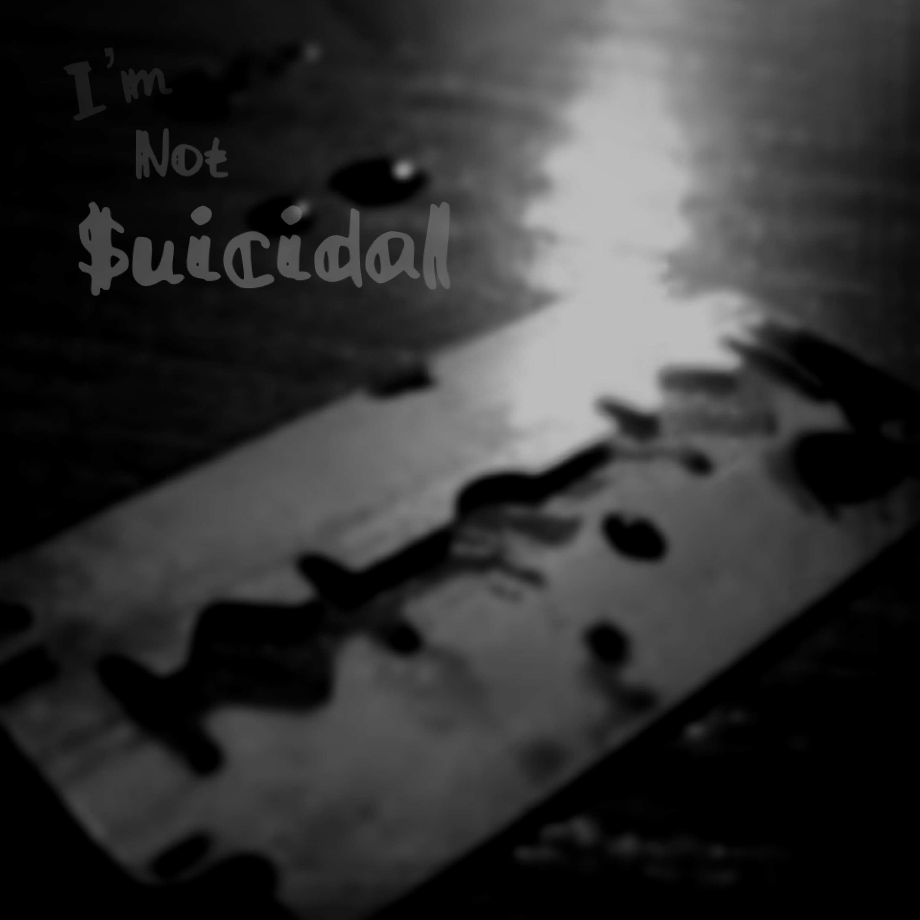 I'm Not $uicidal artwork