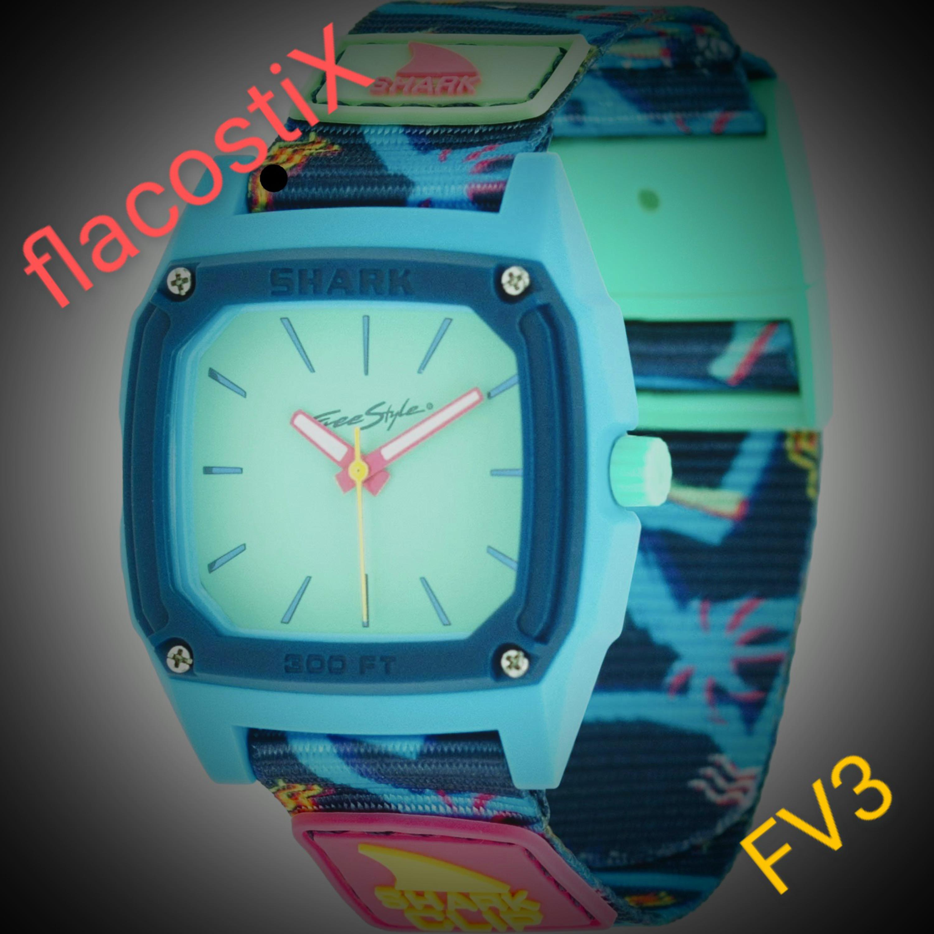 FV3 artwork