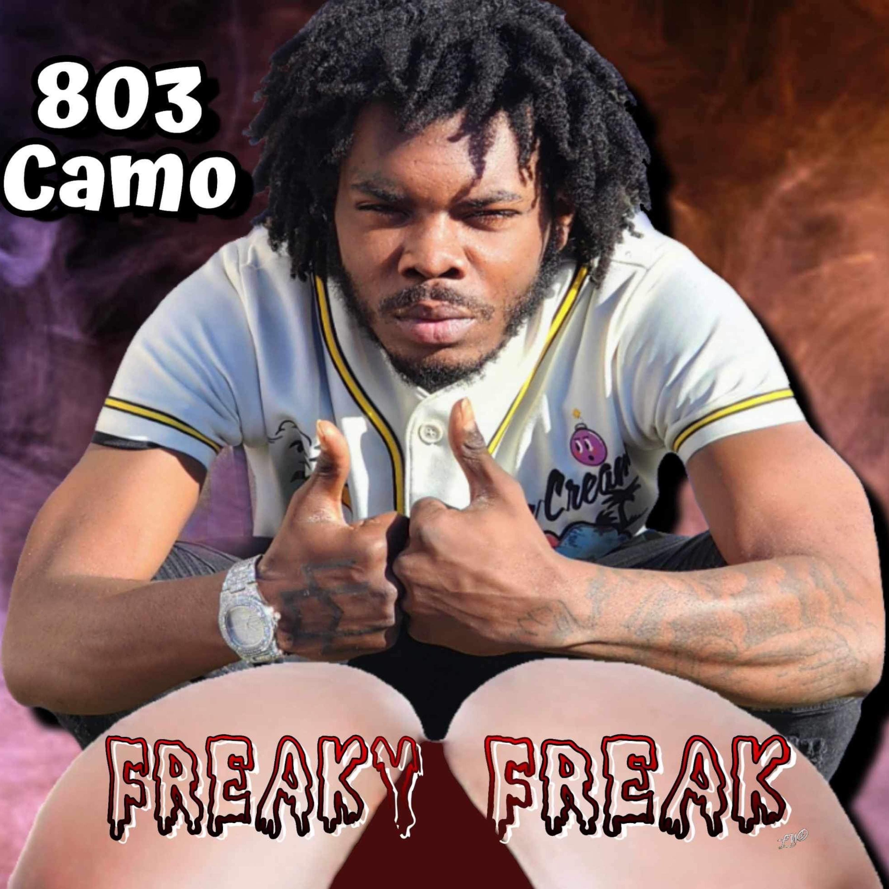Freaky Freak artwork