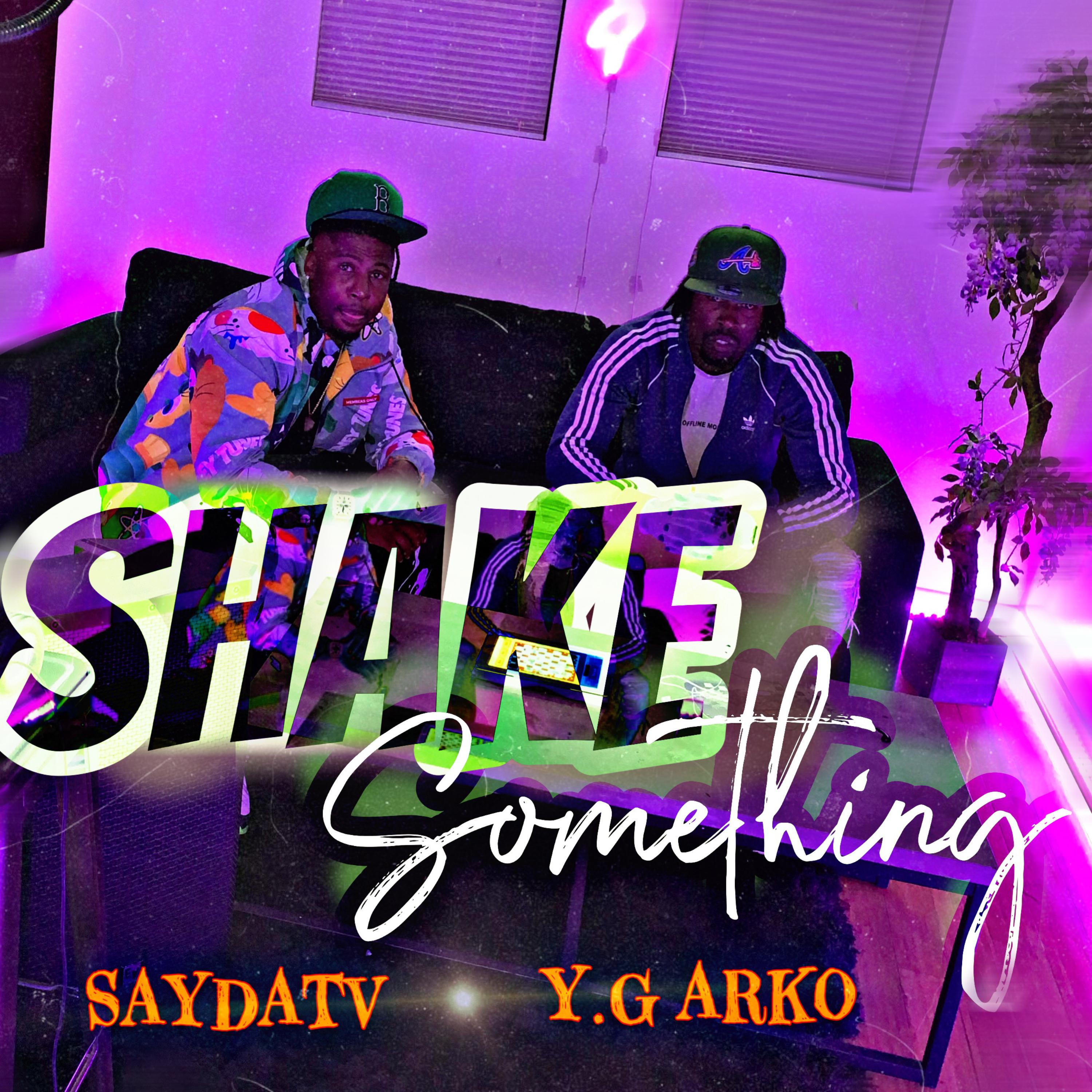 Shake Something artwork