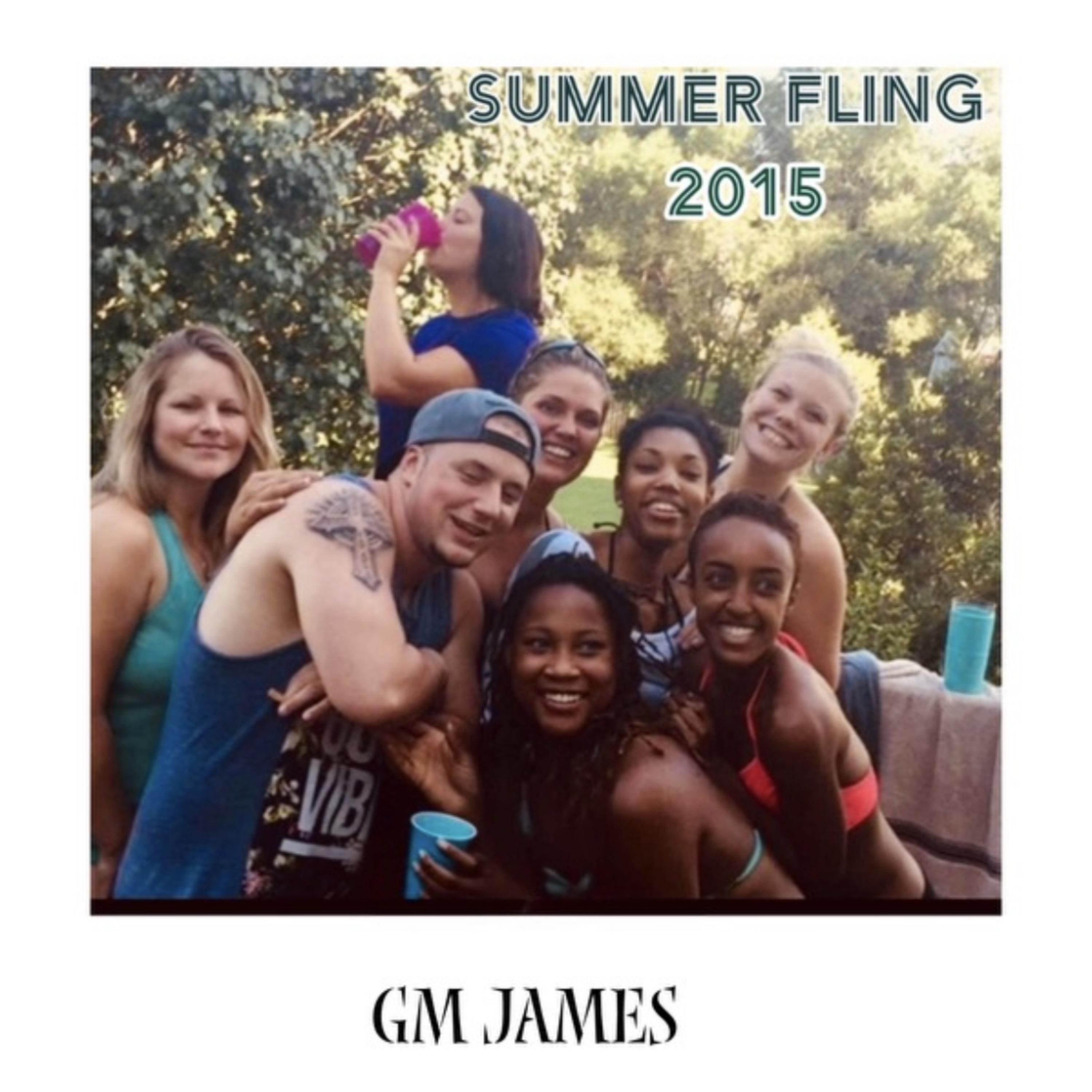 Summer Fling (2015) artwork