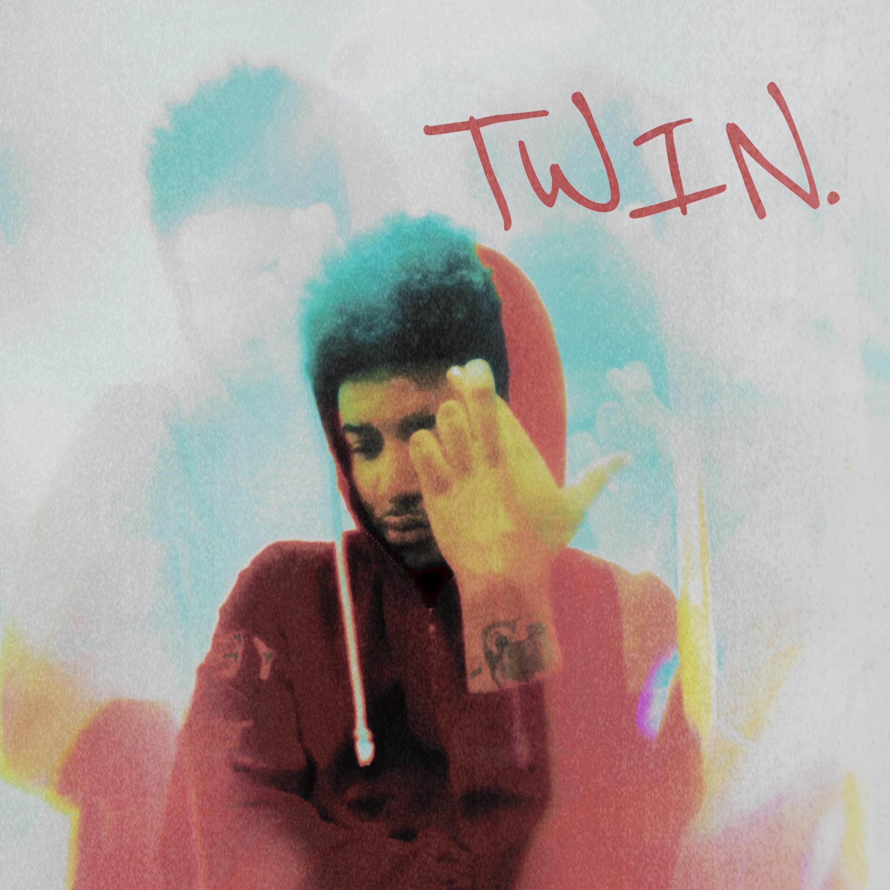 Twin by Klu? cover art
