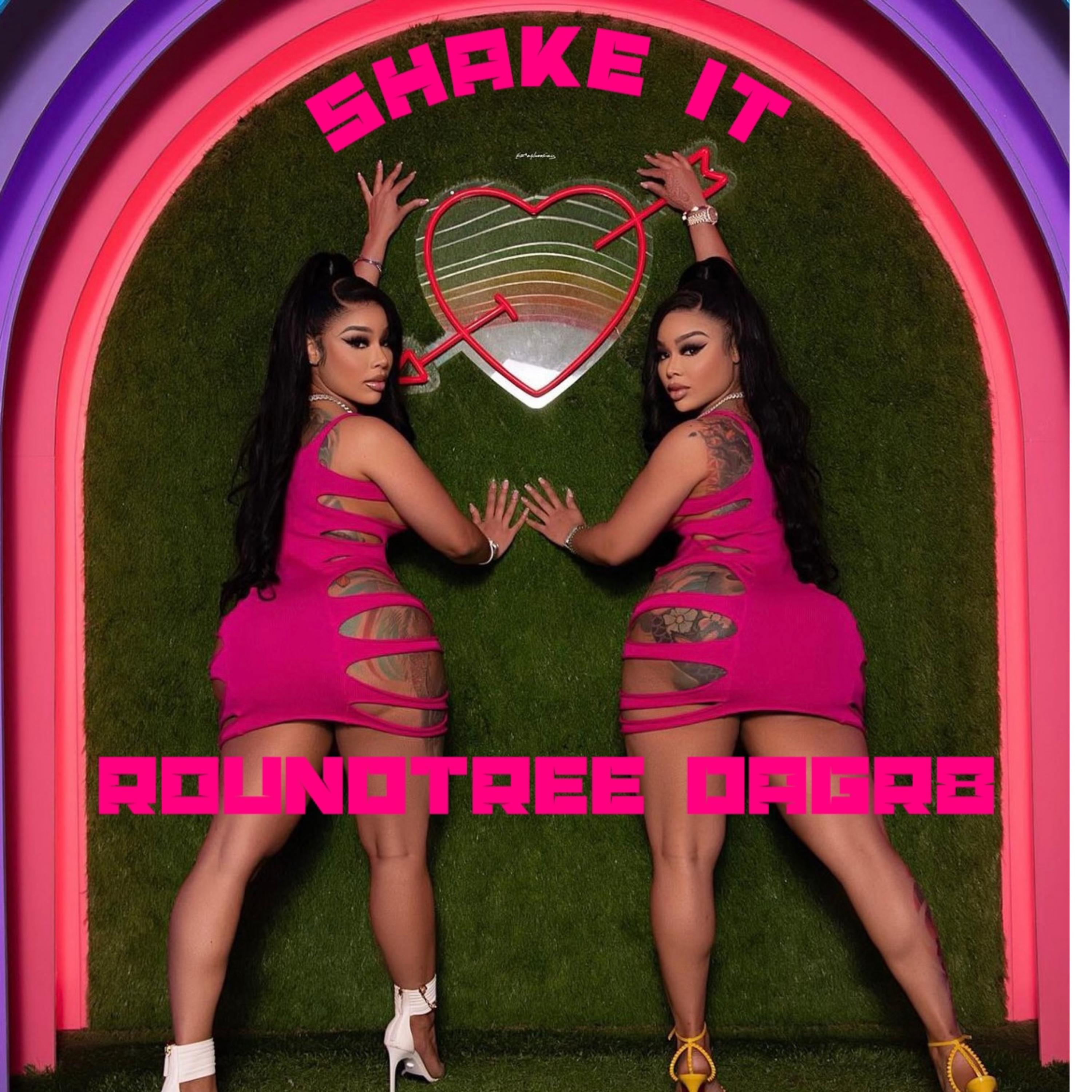 Shake It by Roundtree DaGr8 cover art