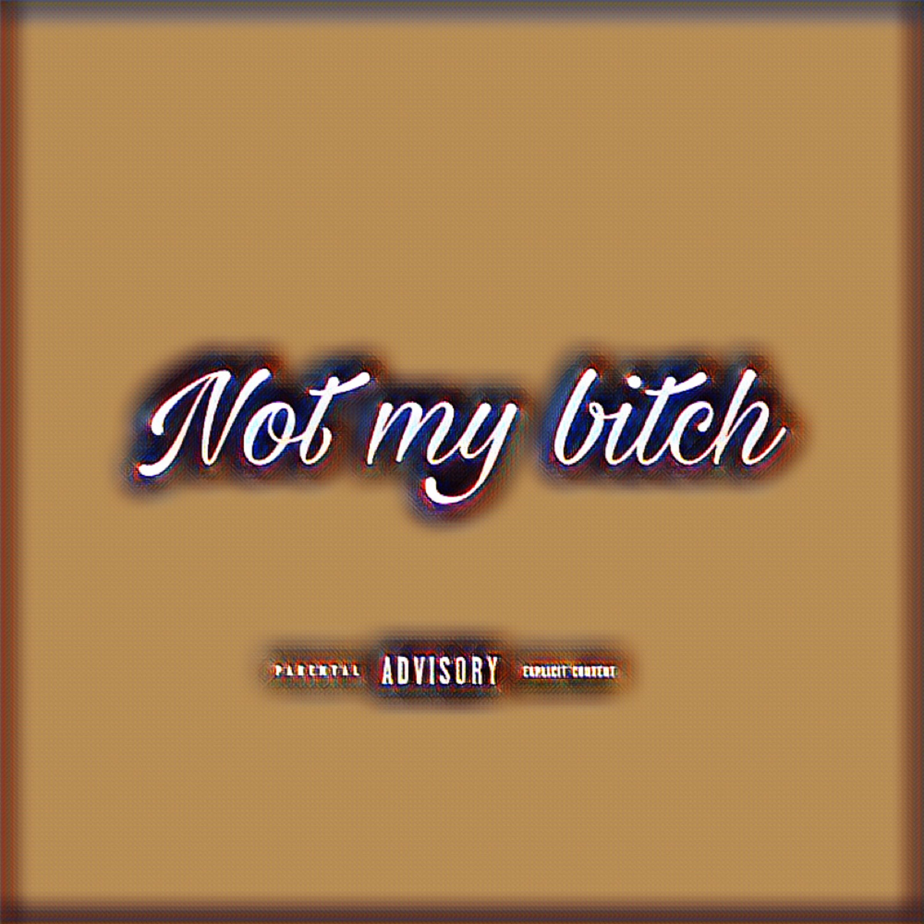 Not My Bitch artwork
