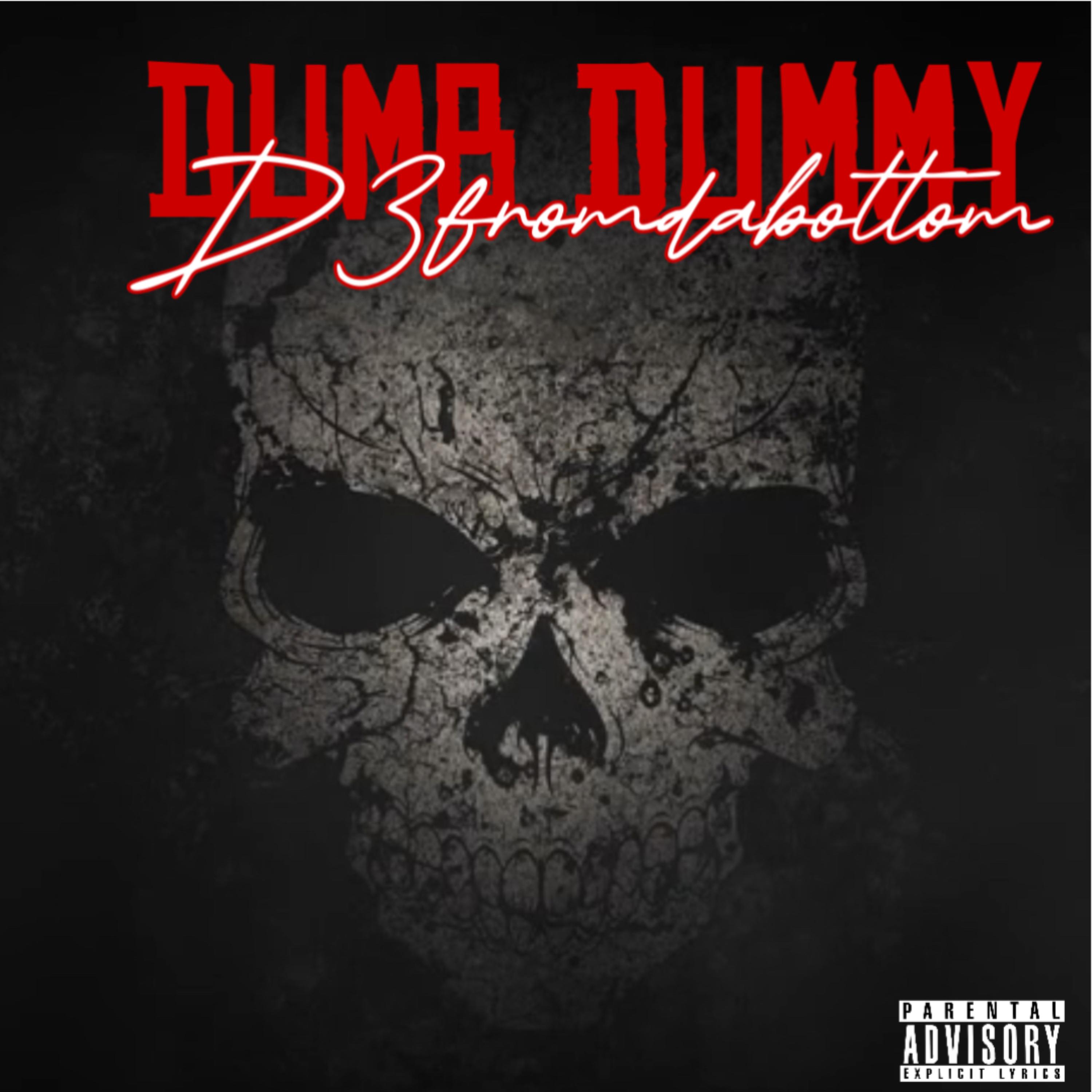 Dumb Dummy artwork