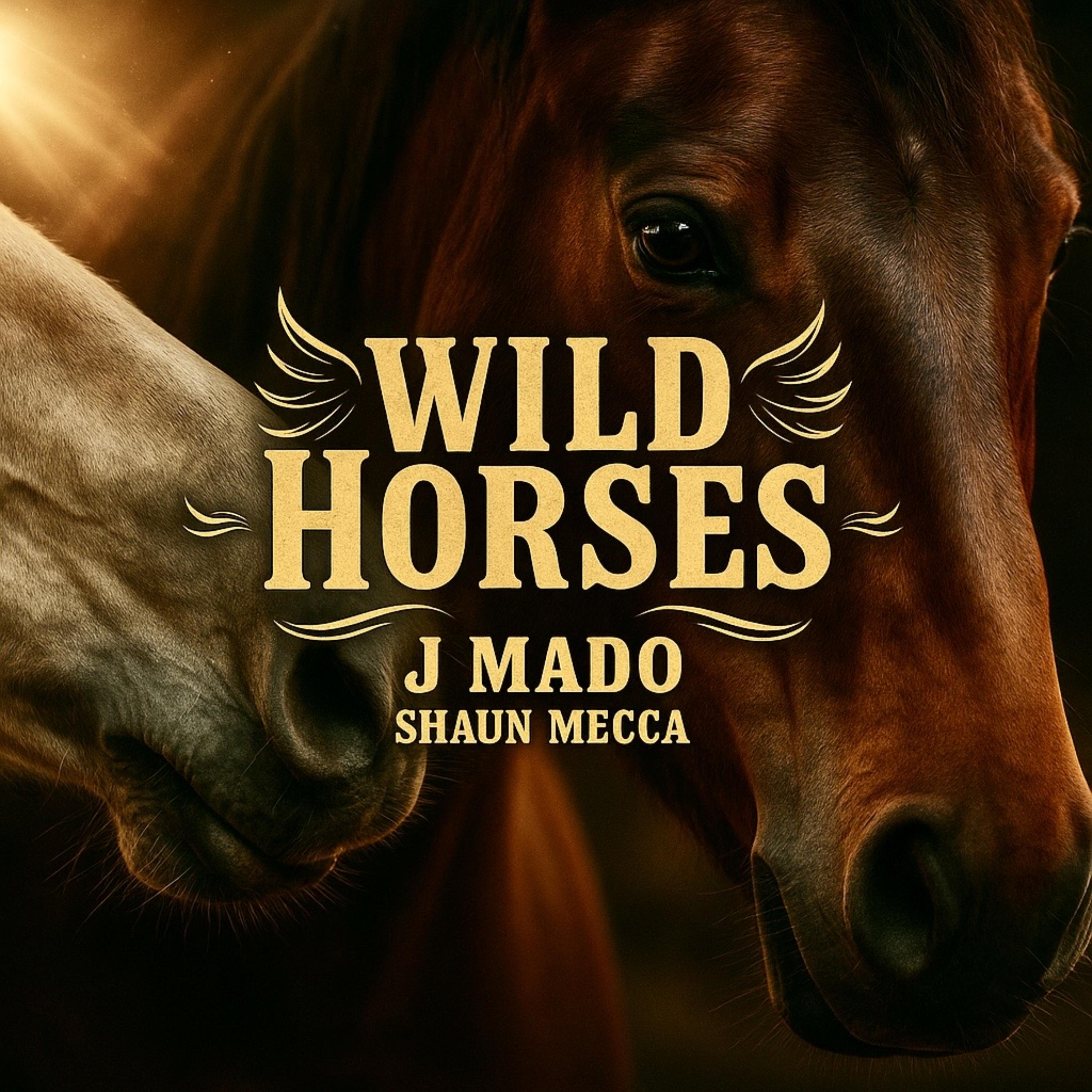 WILD HORSES artwork