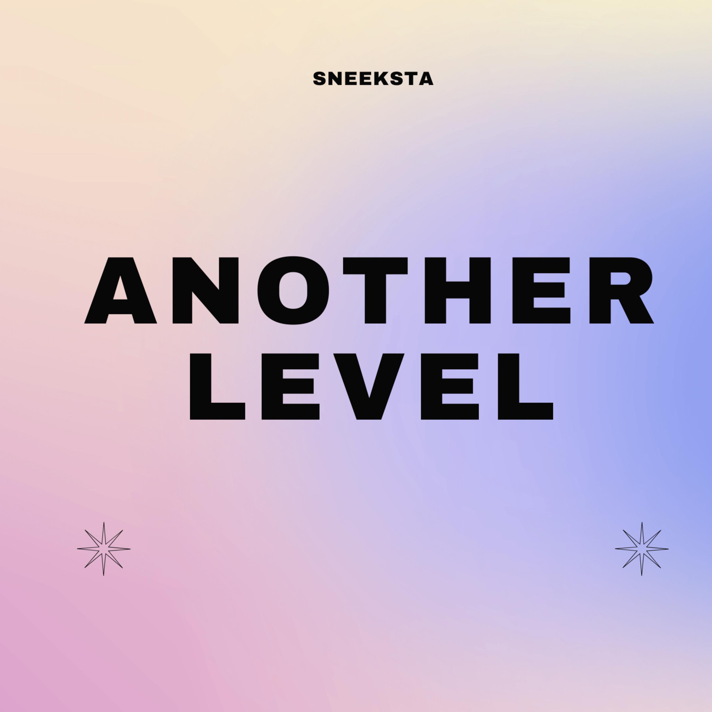 ANOTHER LEVEL artwork