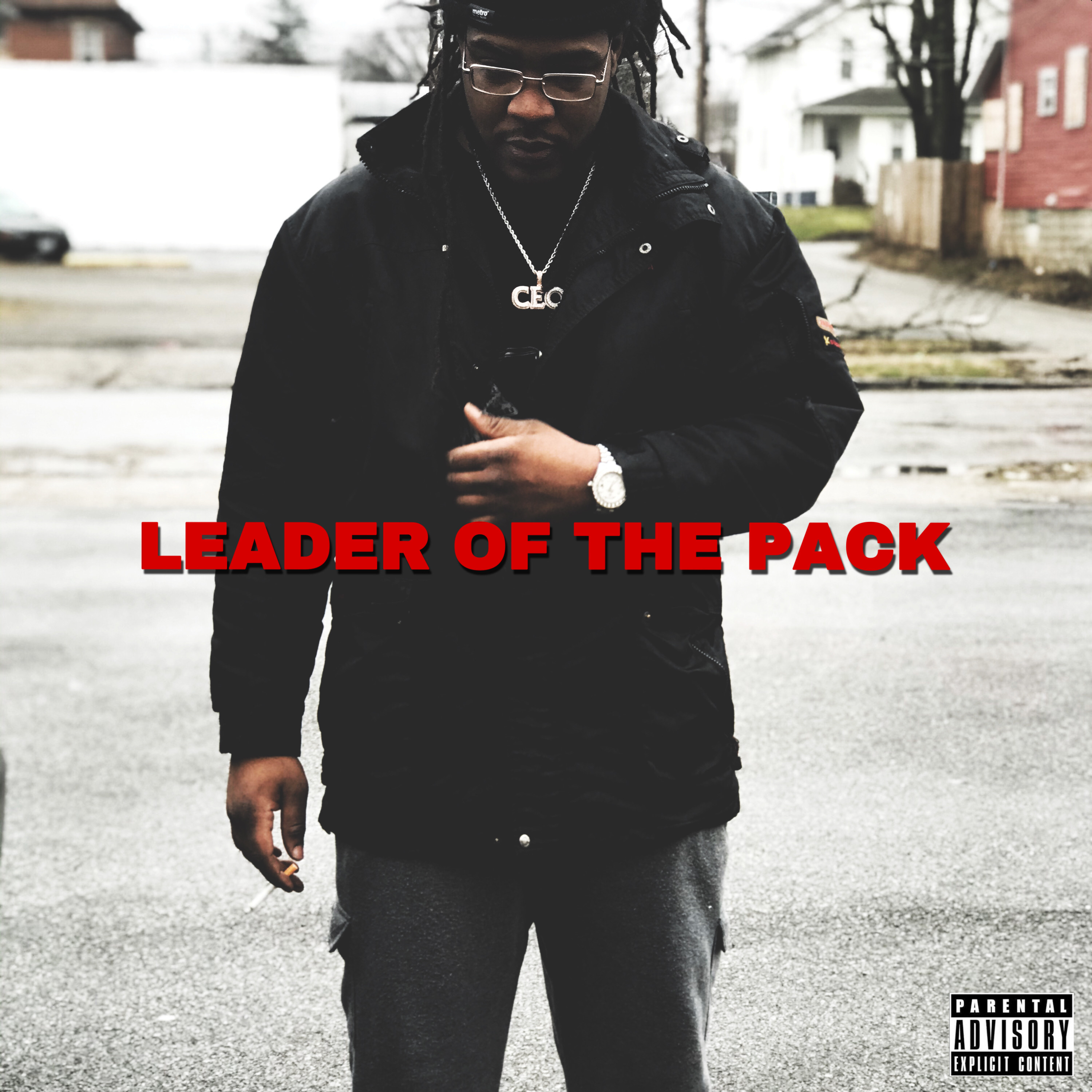 LEADER OF THE PACK artwork
