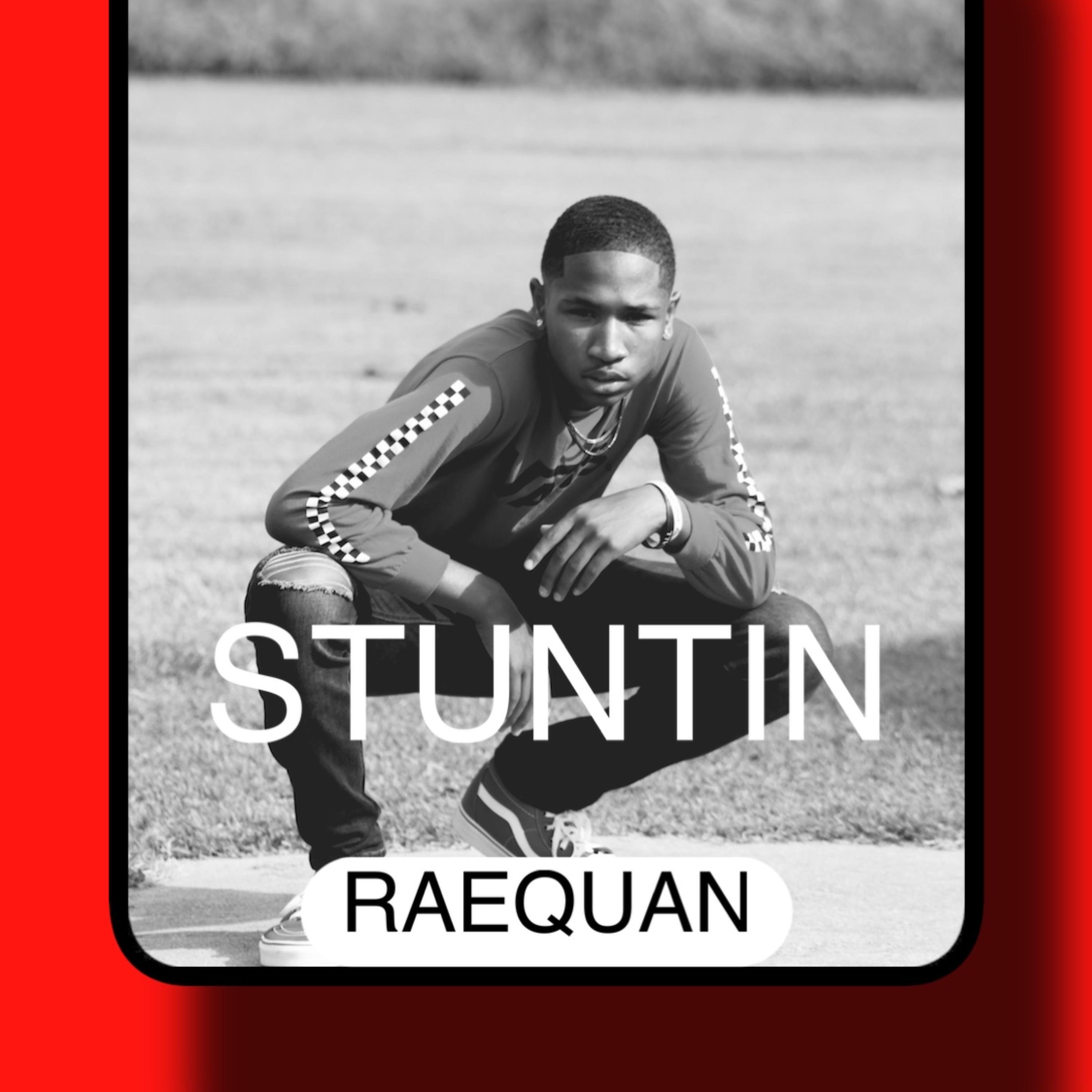 STUNTIN artwork