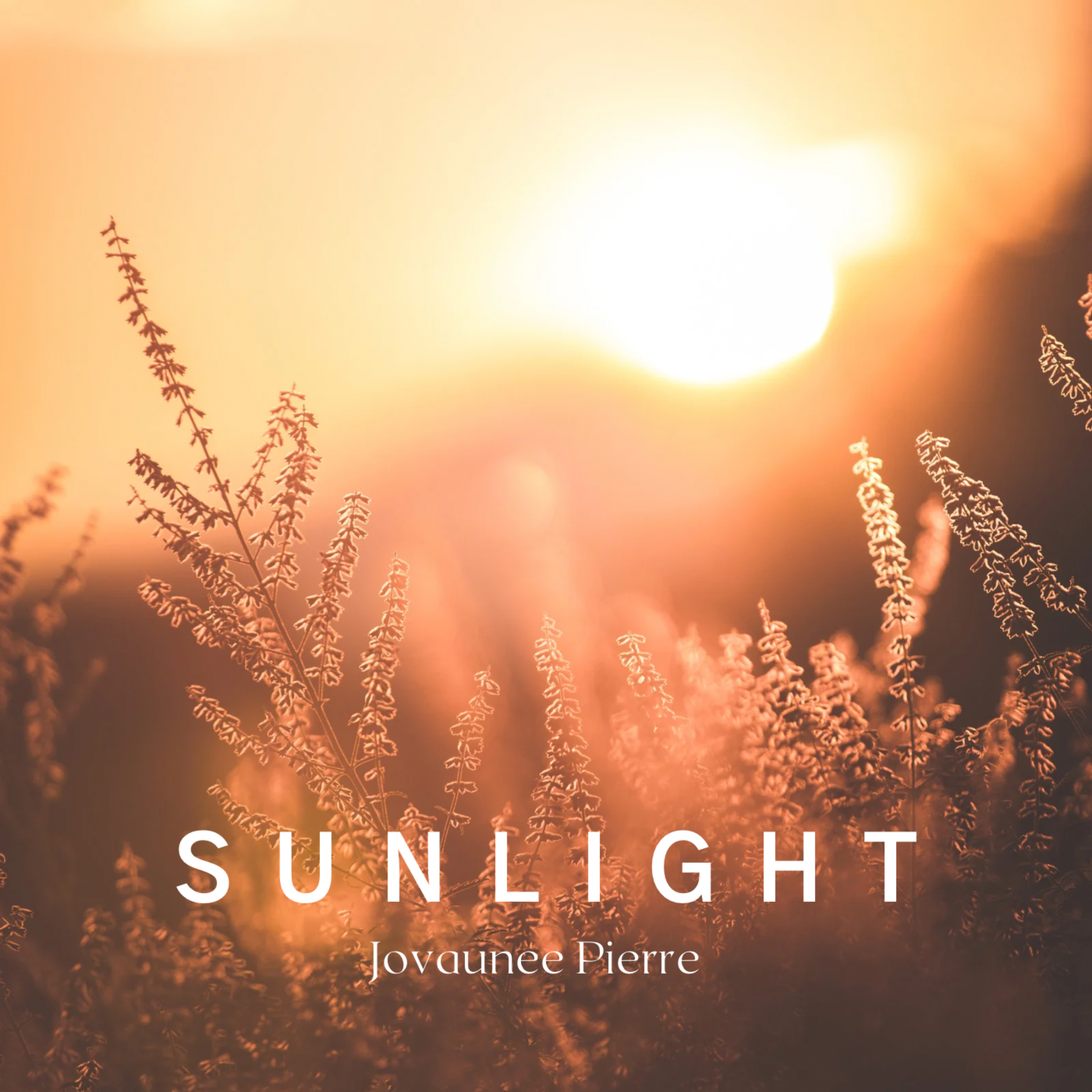 Sunlight artwork
