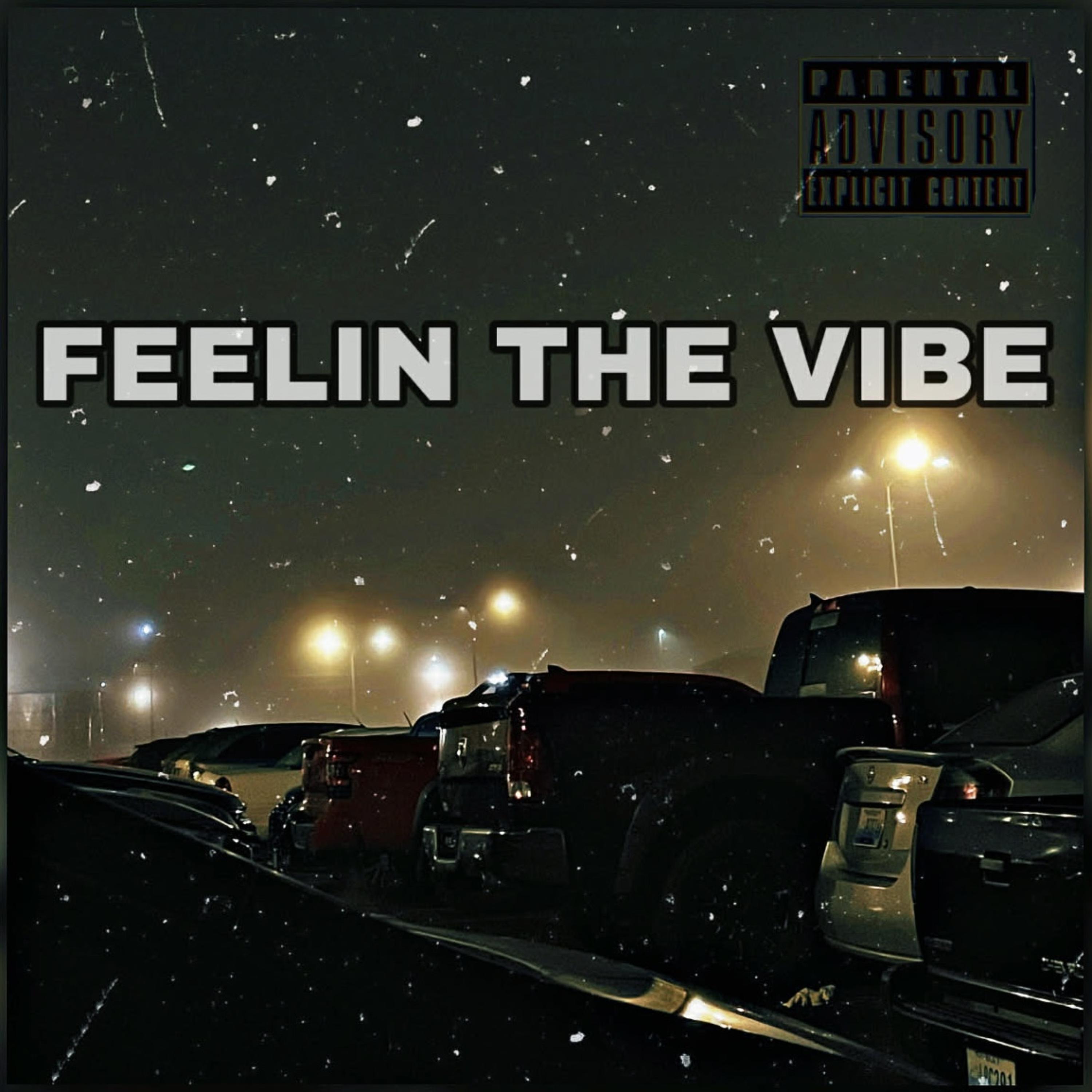 feelin the vibe artwork