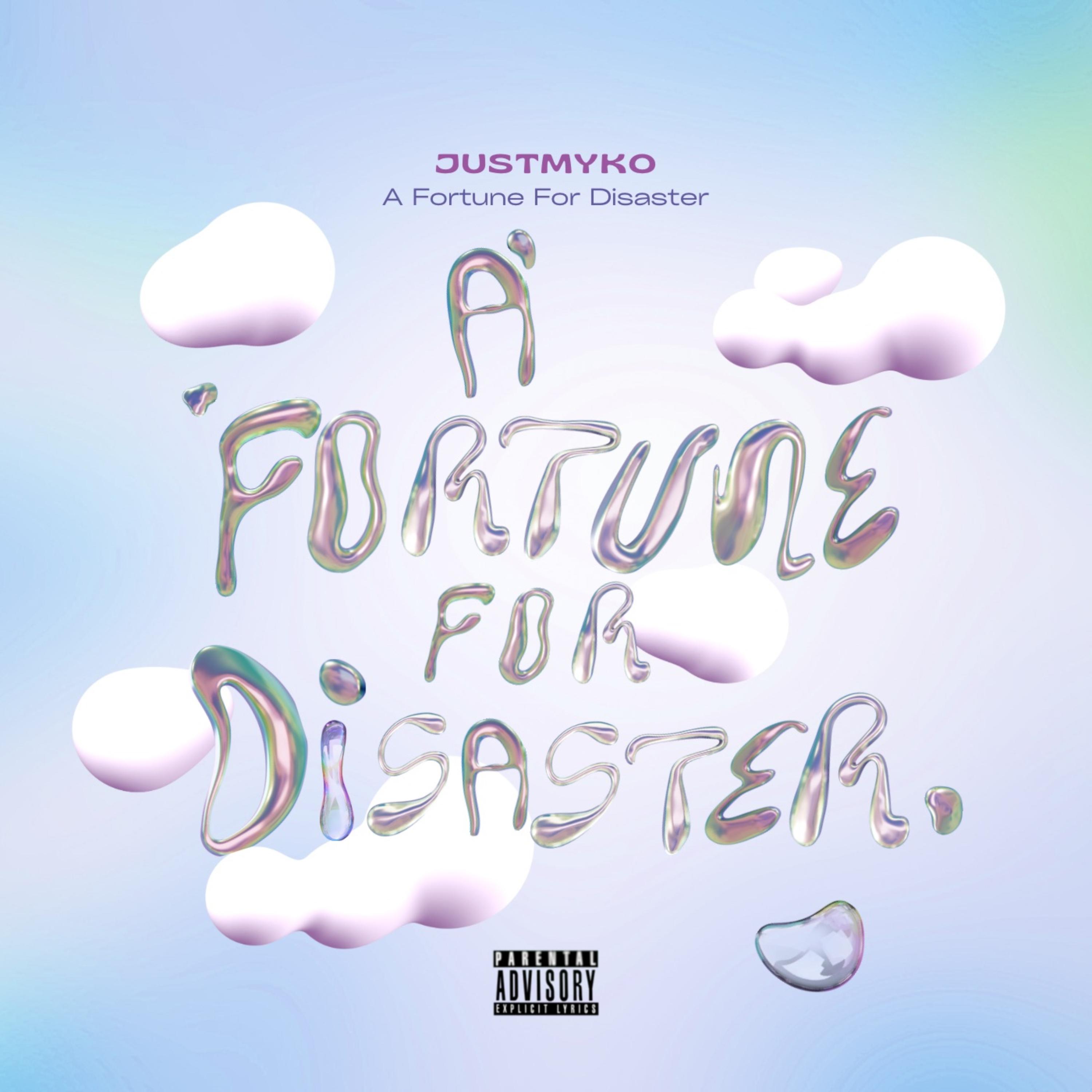 A Fortune For Disaster artwork