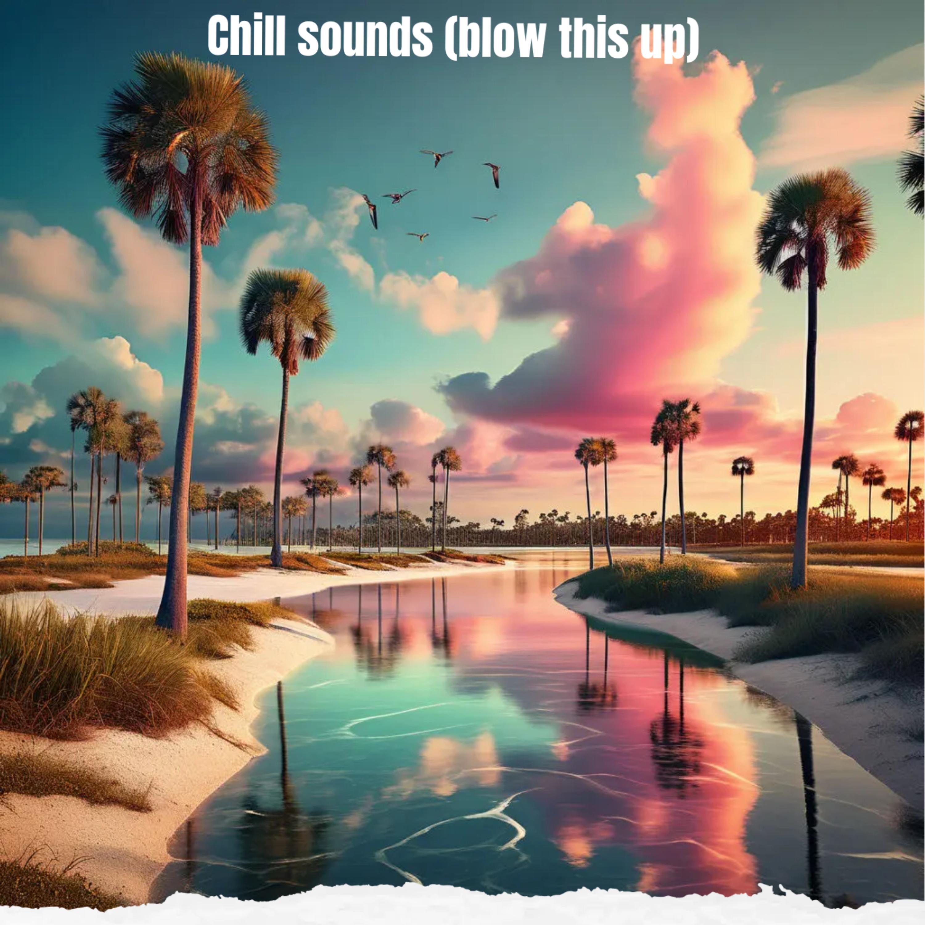 chill sounds (blow this up) artwork