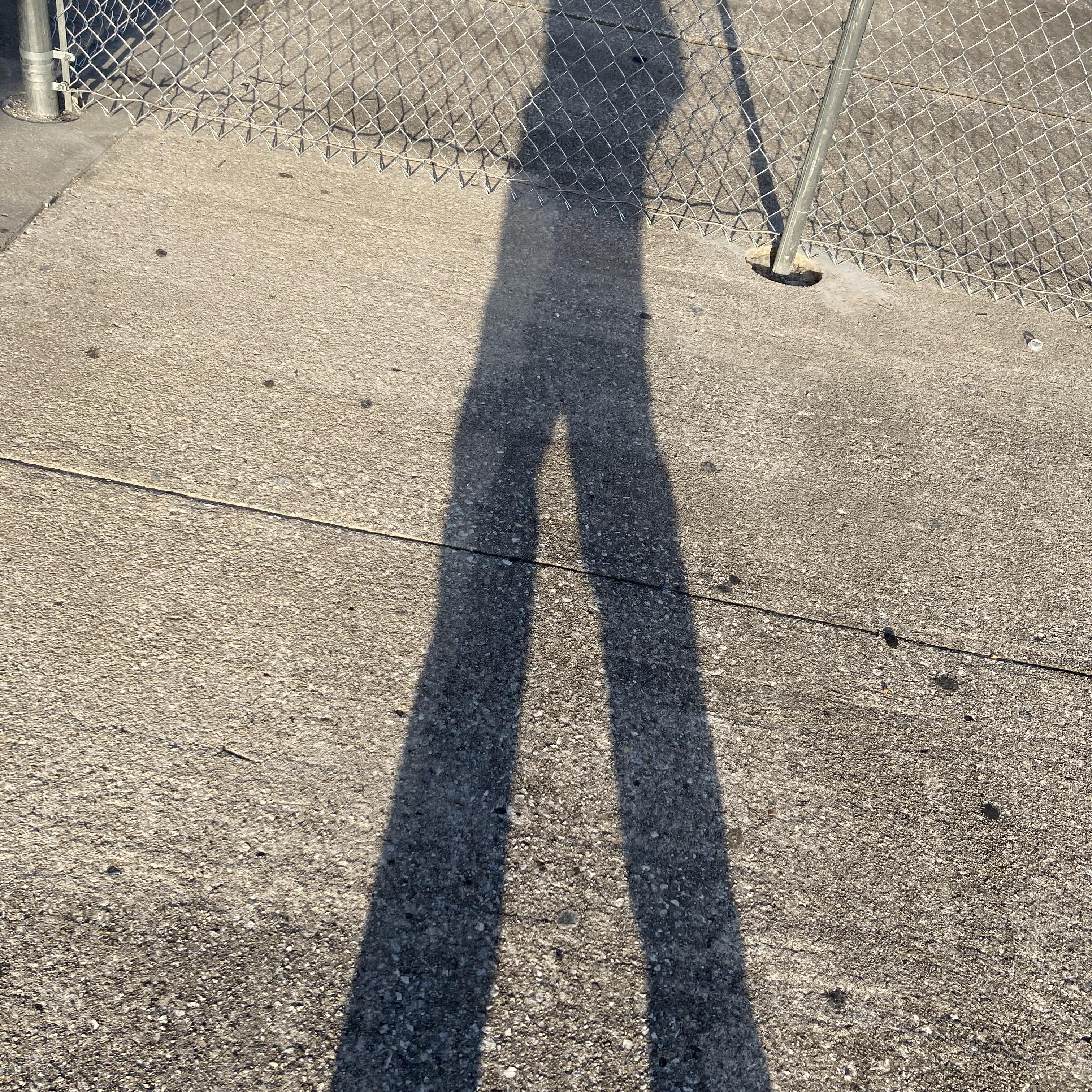 Everybody Knows artwork