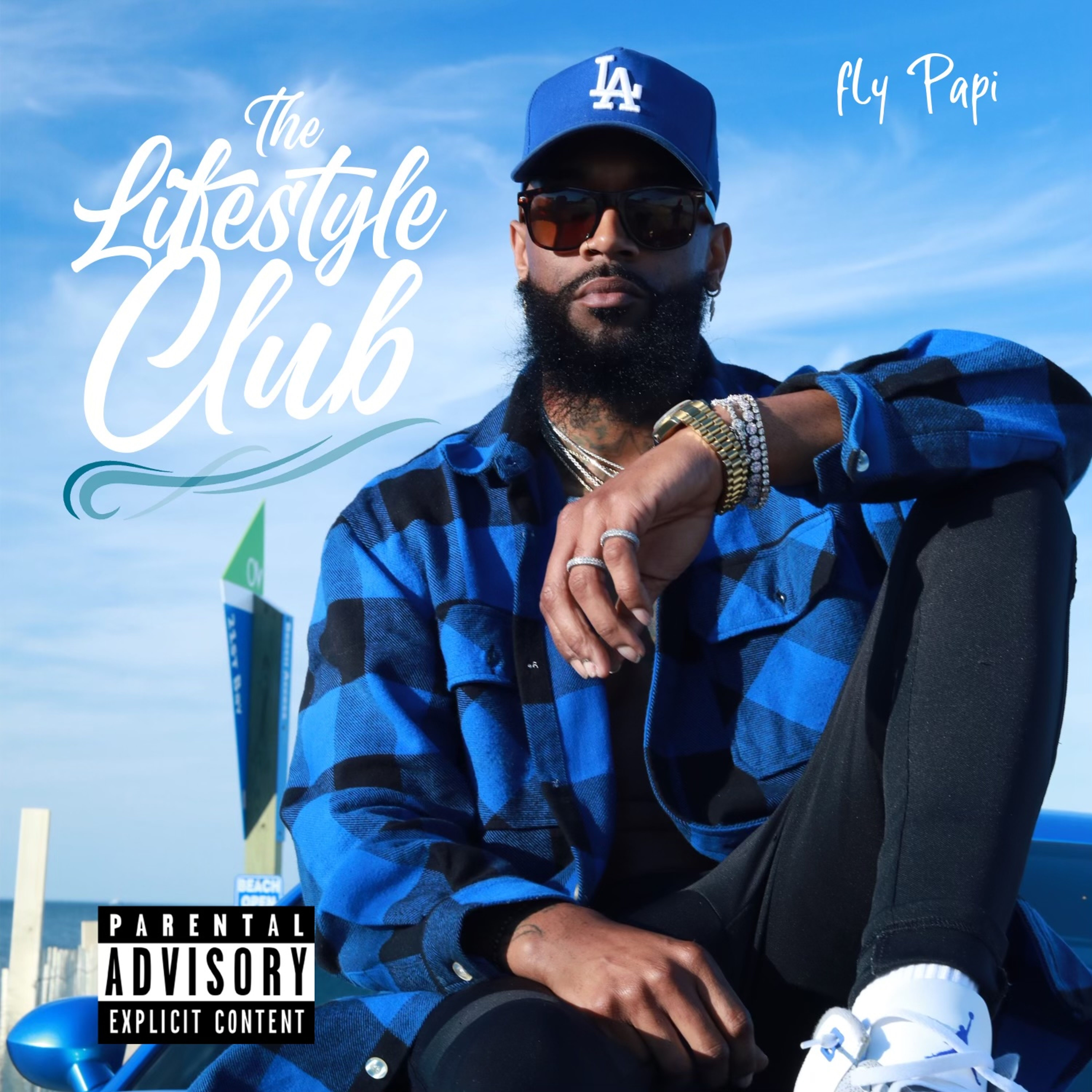 The Lifestyle Club artwork