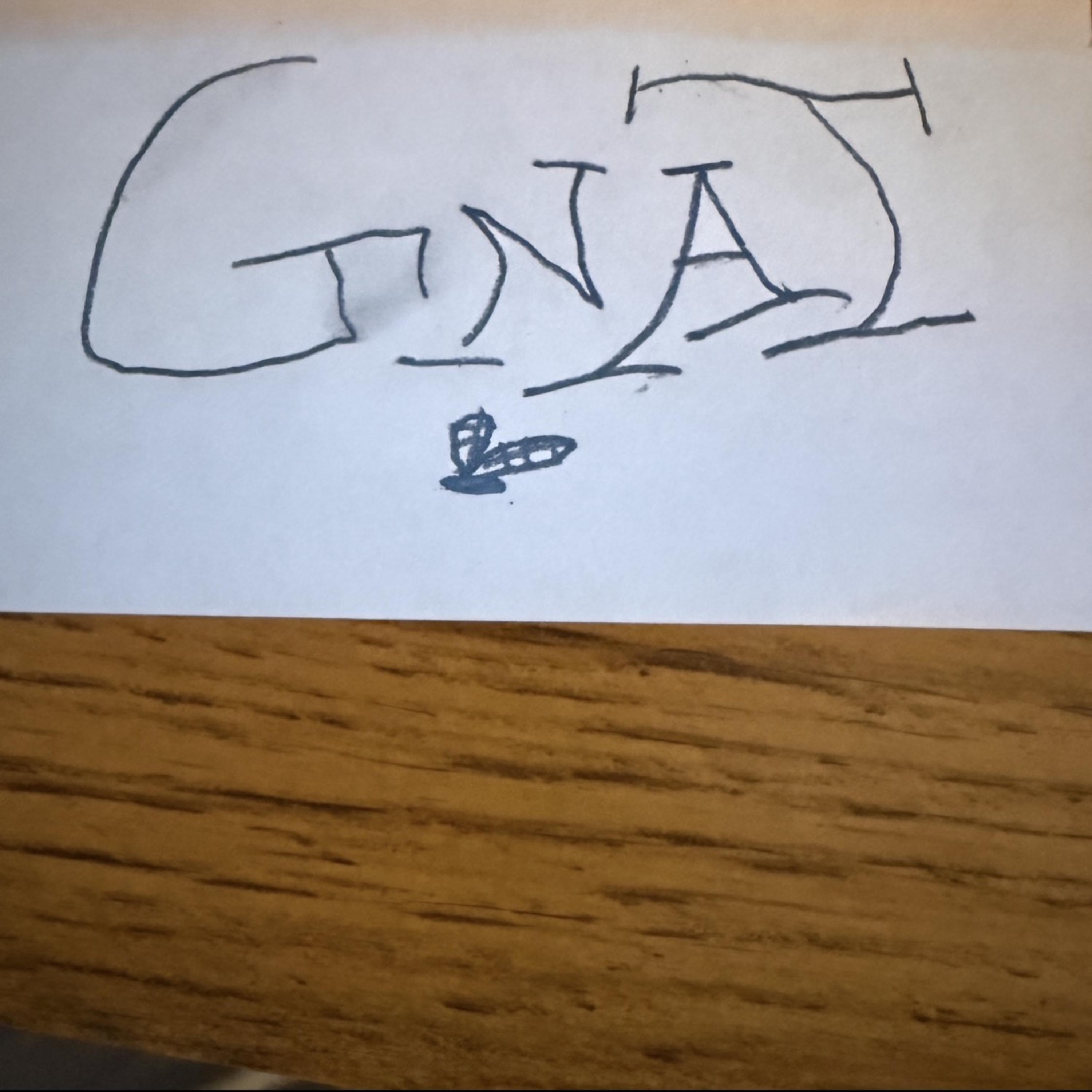 Gnat by Duck cover art