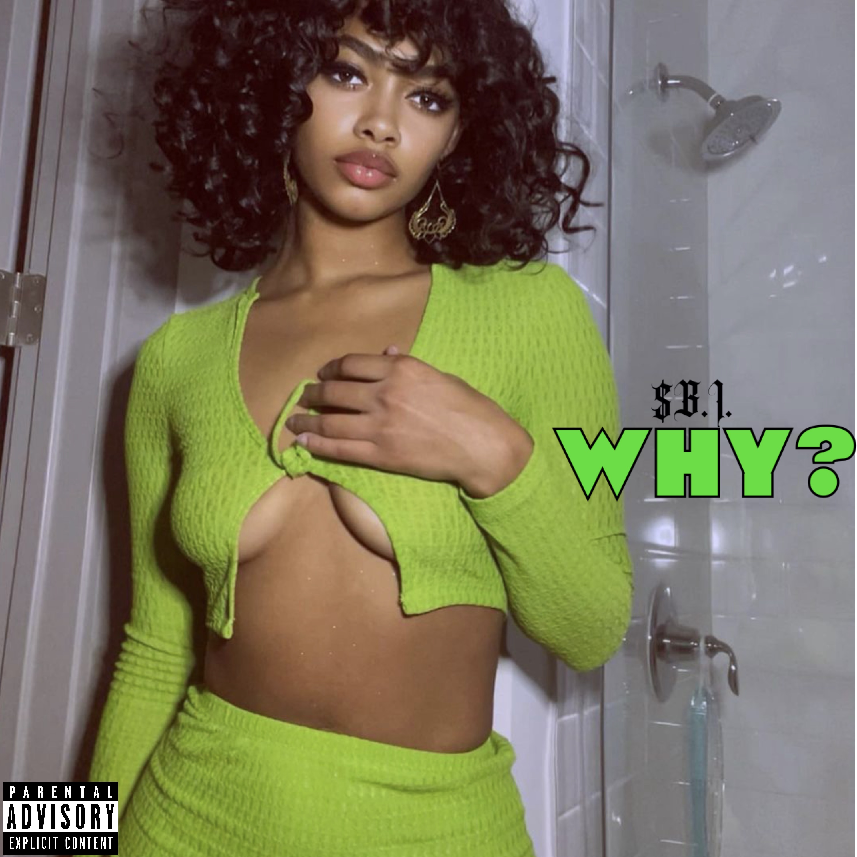 WHY? artwork