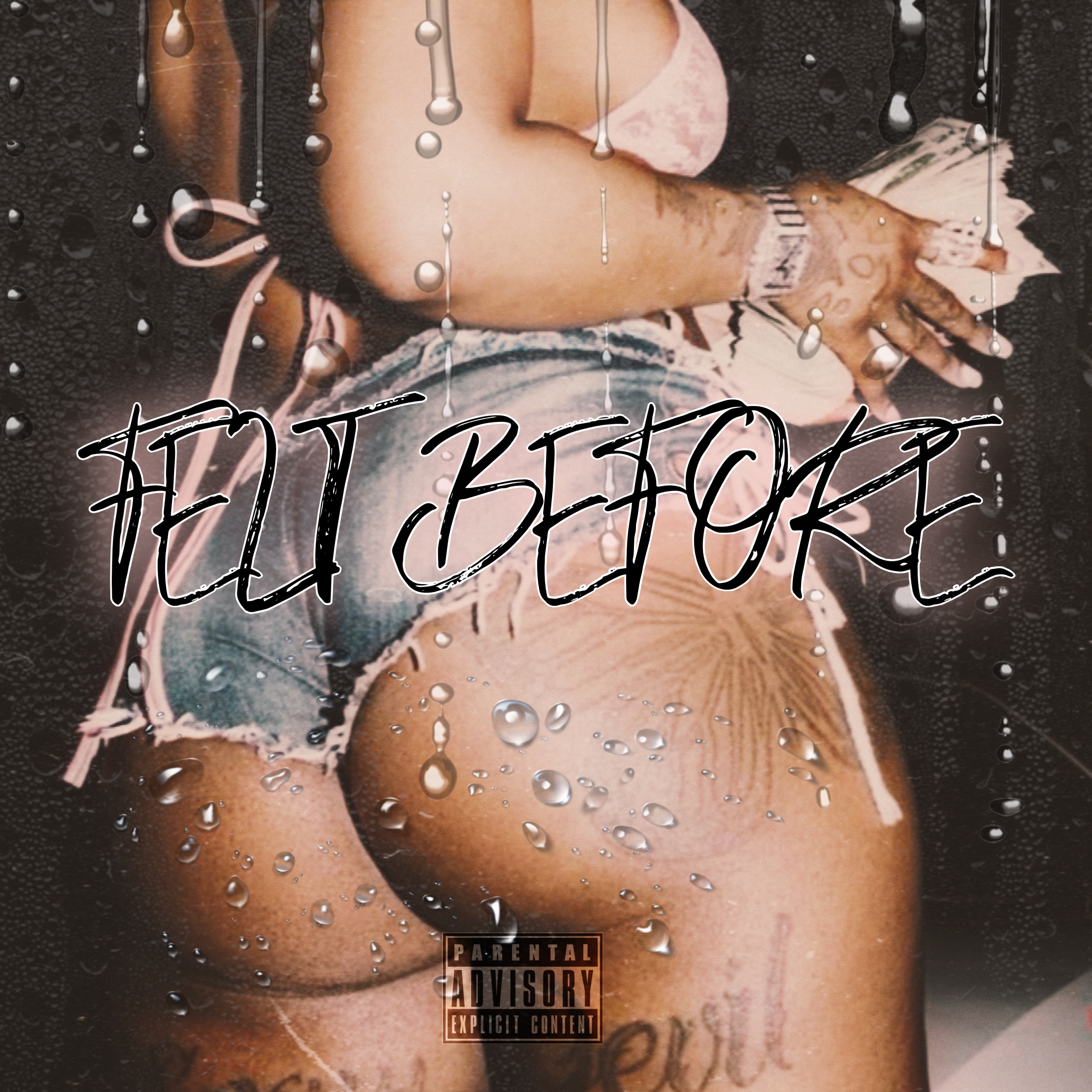 Felt Before by A.P. 223 cover art