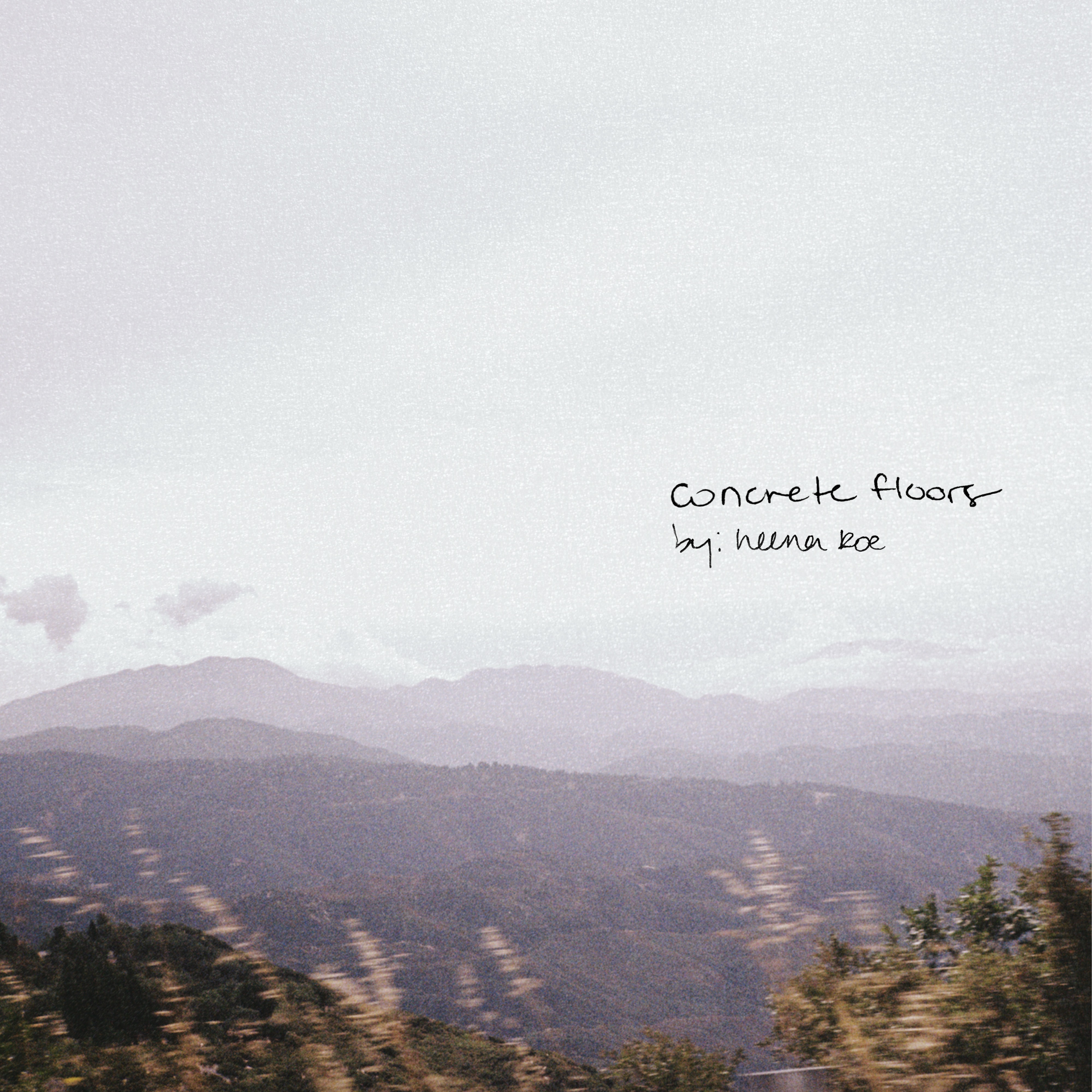 concrete floors artwork