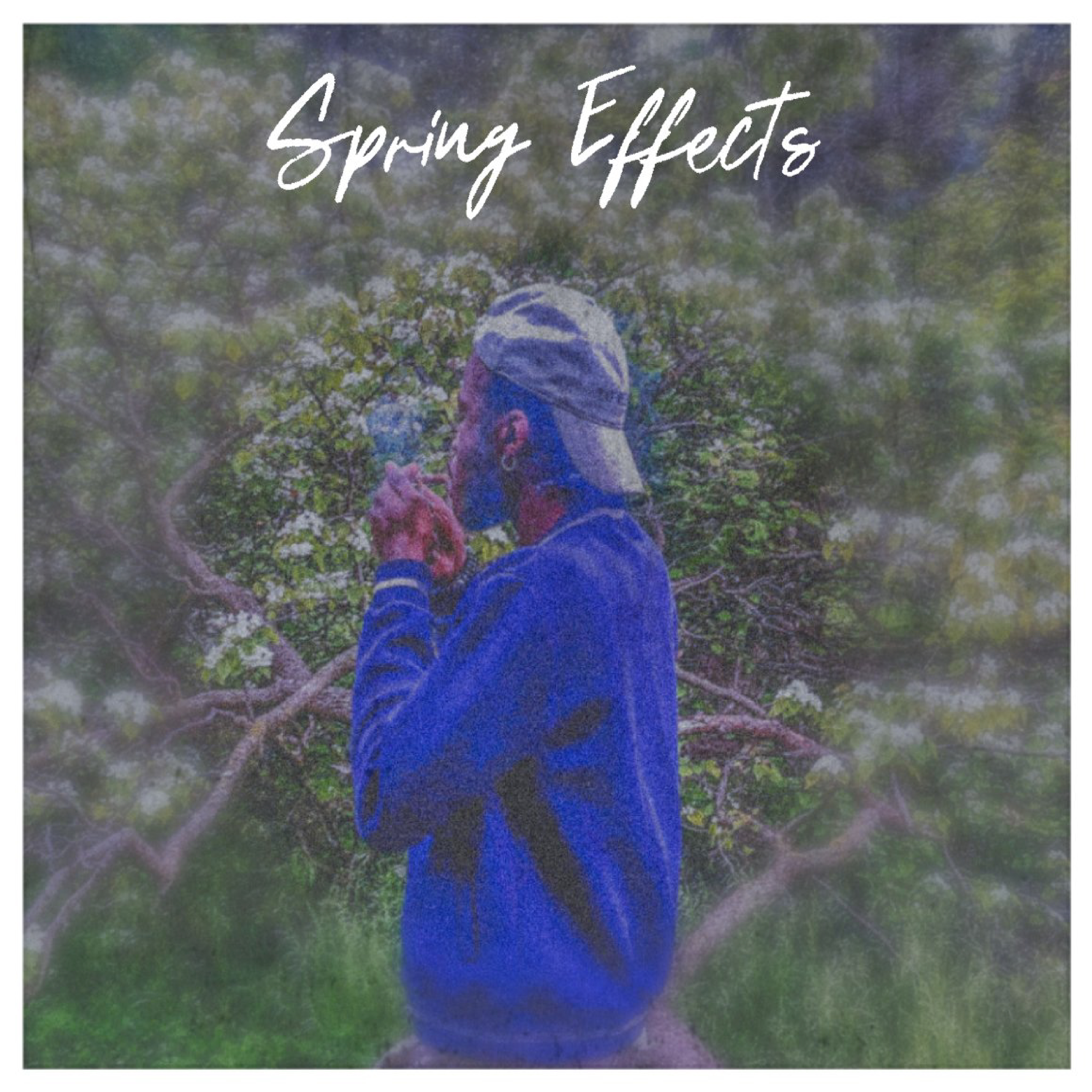 Spring Effects artwork