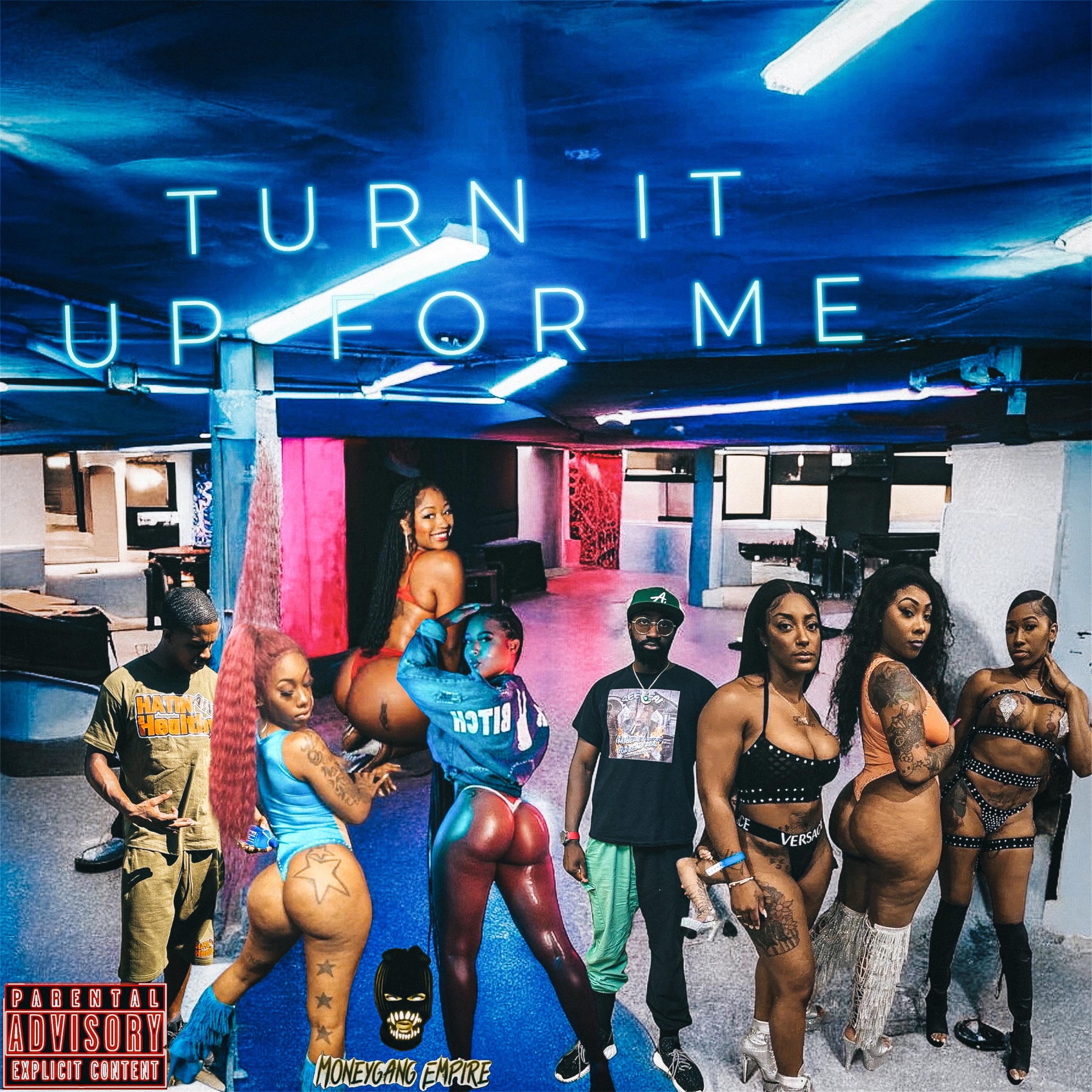 Turn It Up For Me artwork