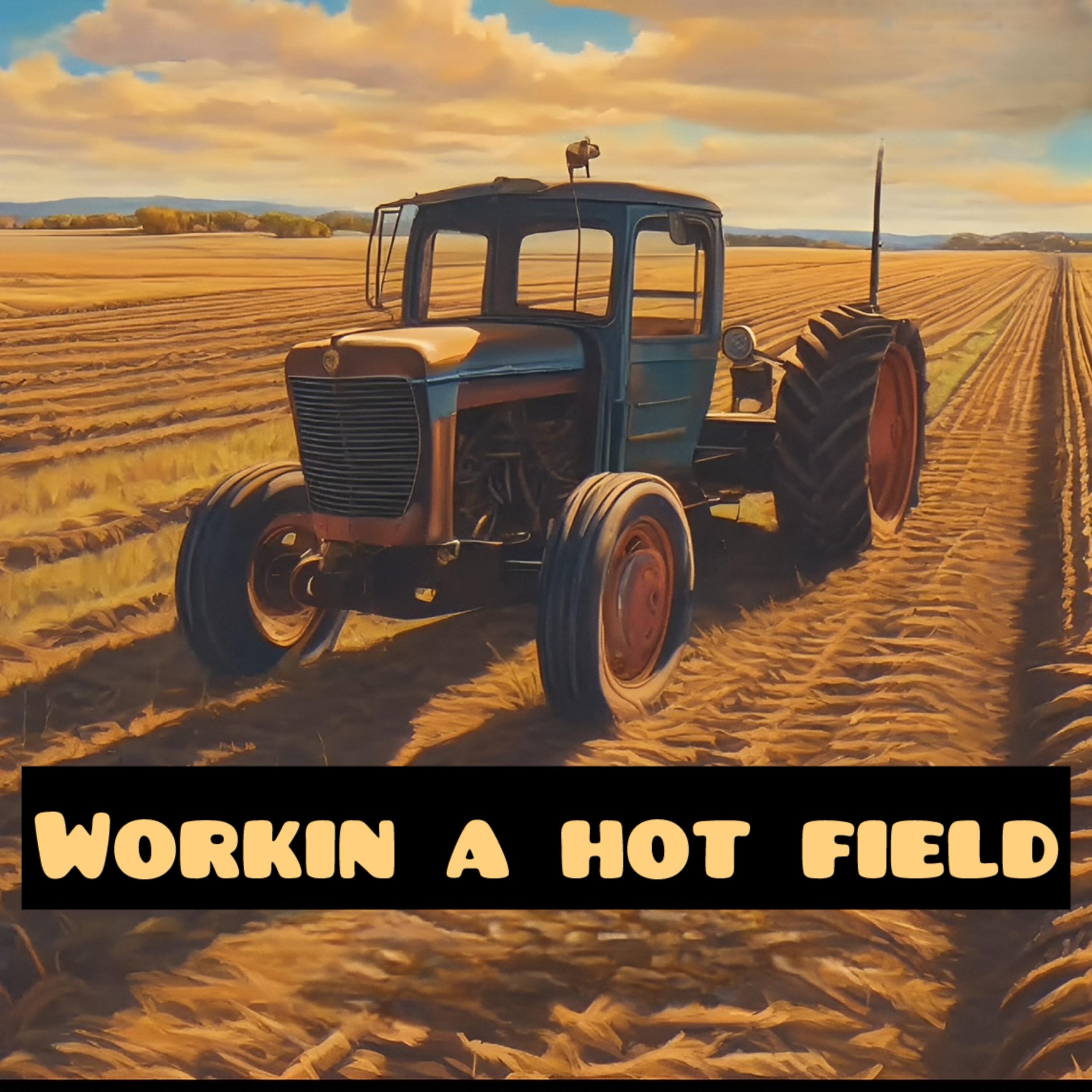 Workin A Hot Field artwork