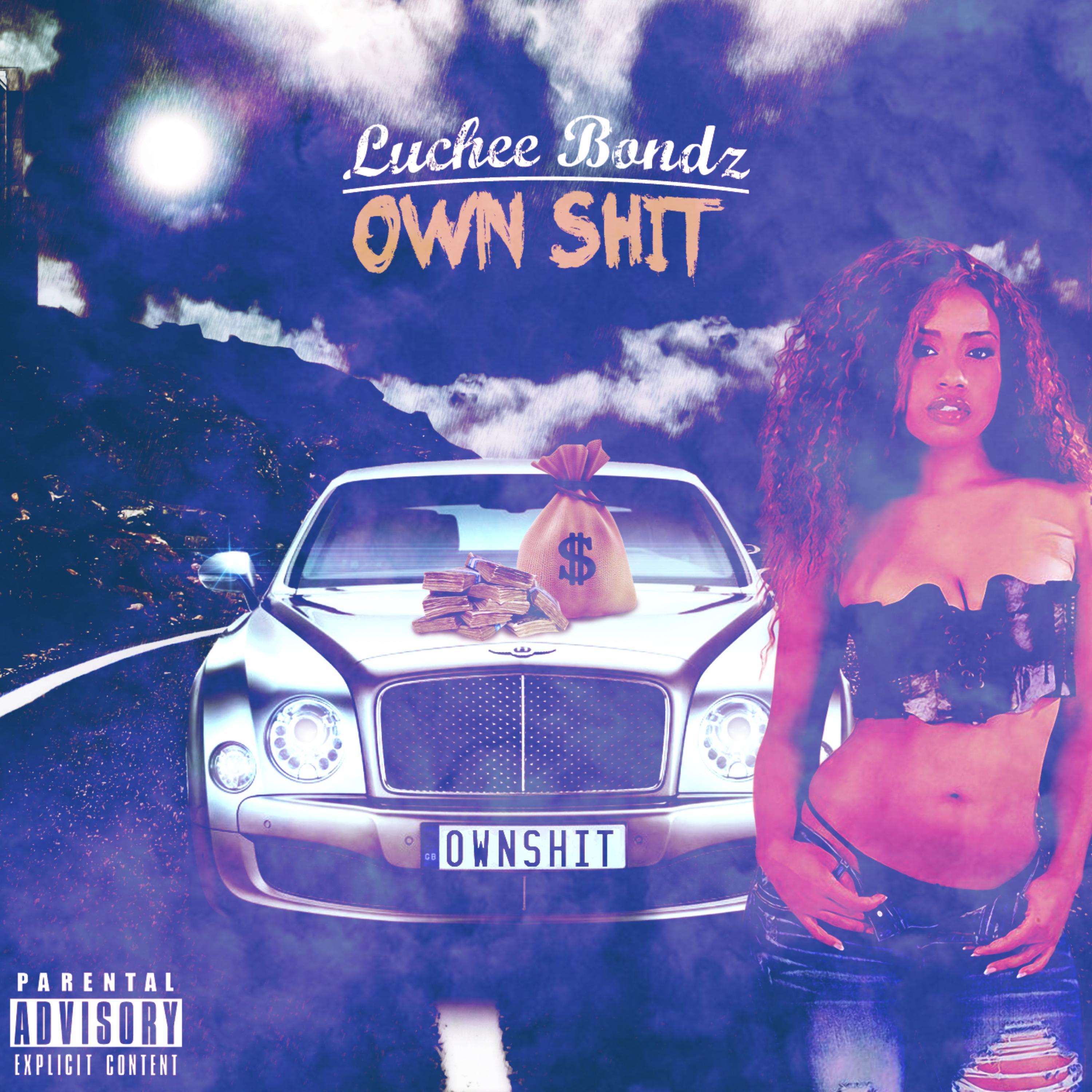 OWN SHIT artwork