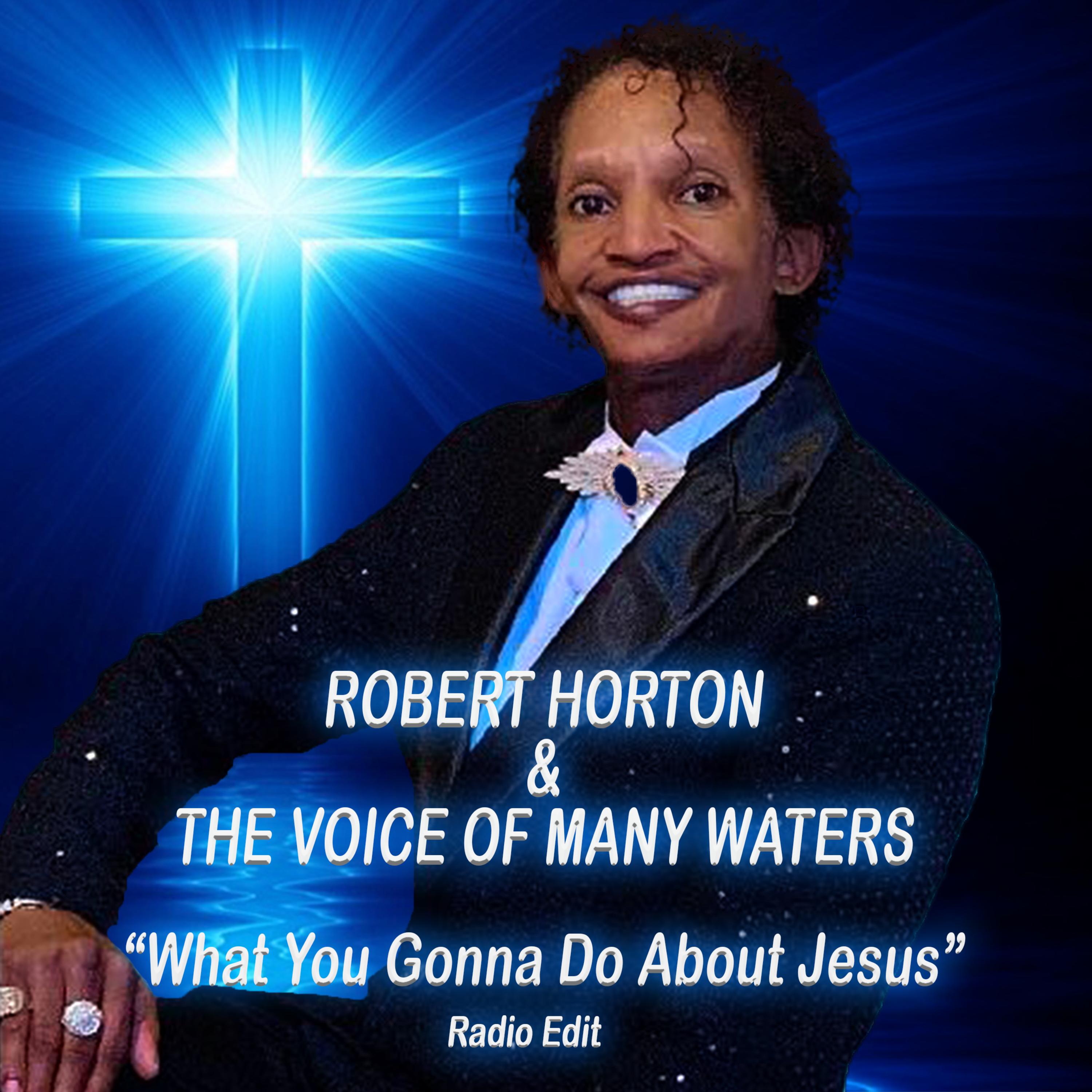 What You Gonna Do About Jesus (Radio Edit) artwork
