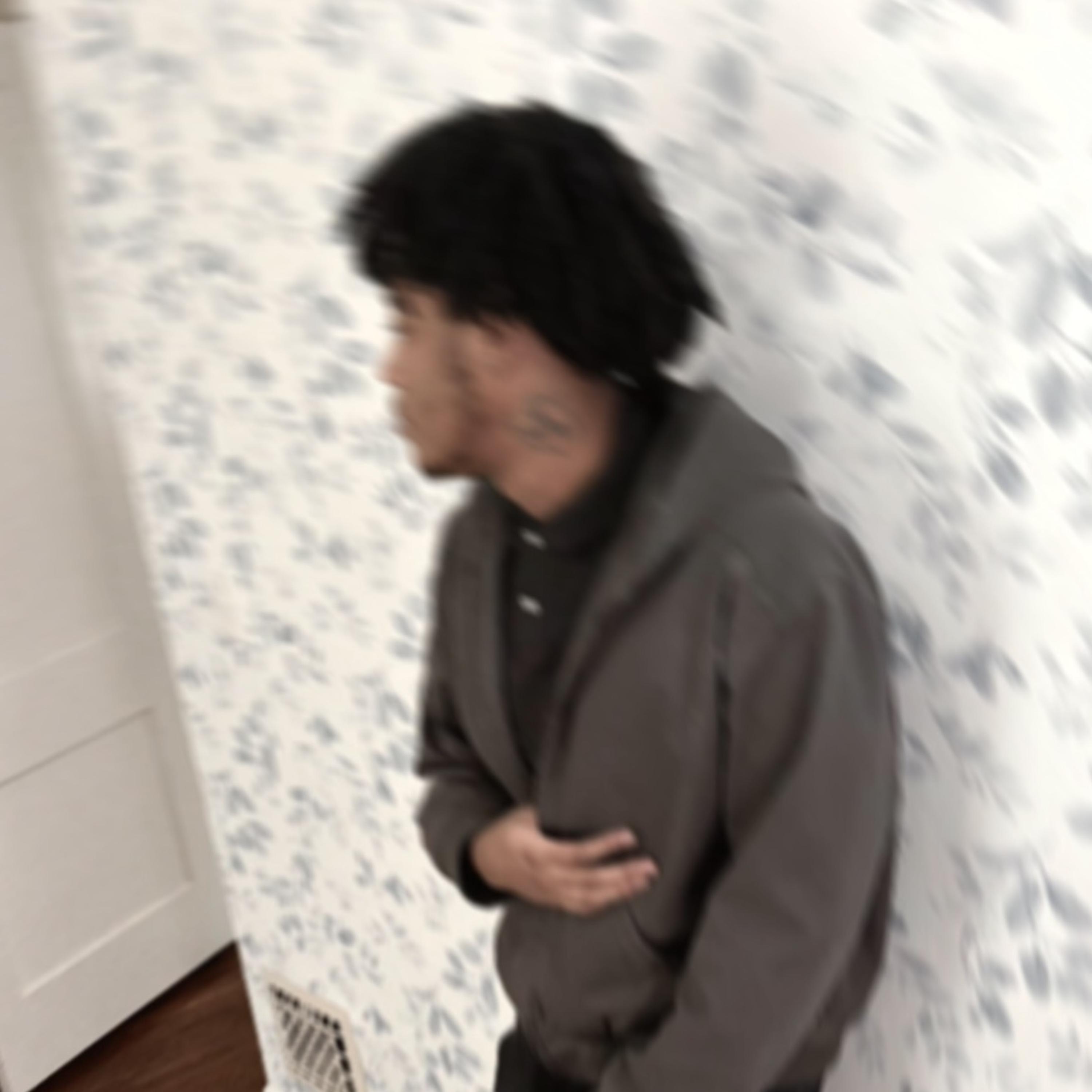 2Real4Fake artwork