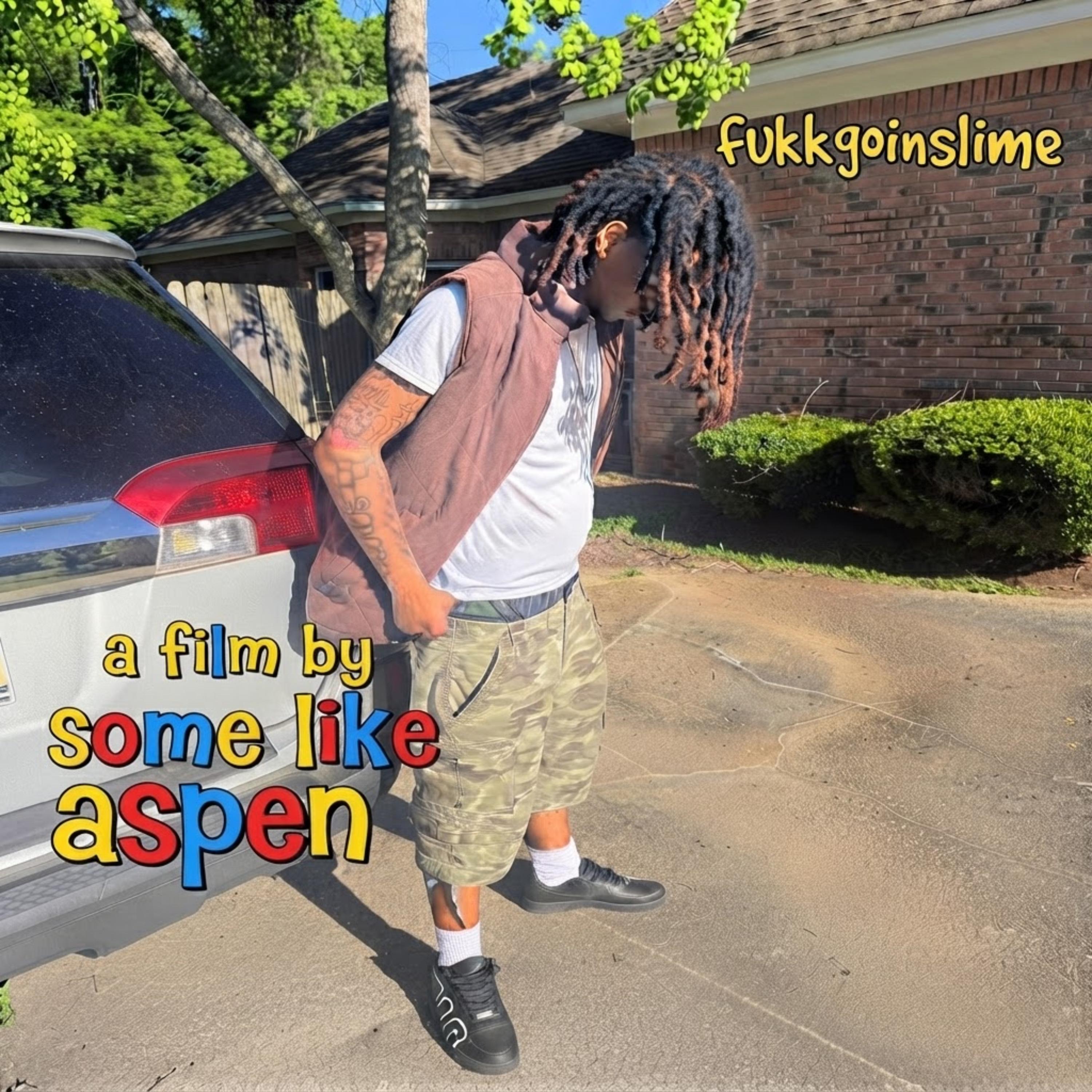 Some Like Aspen by Fukkgoinslime cover art