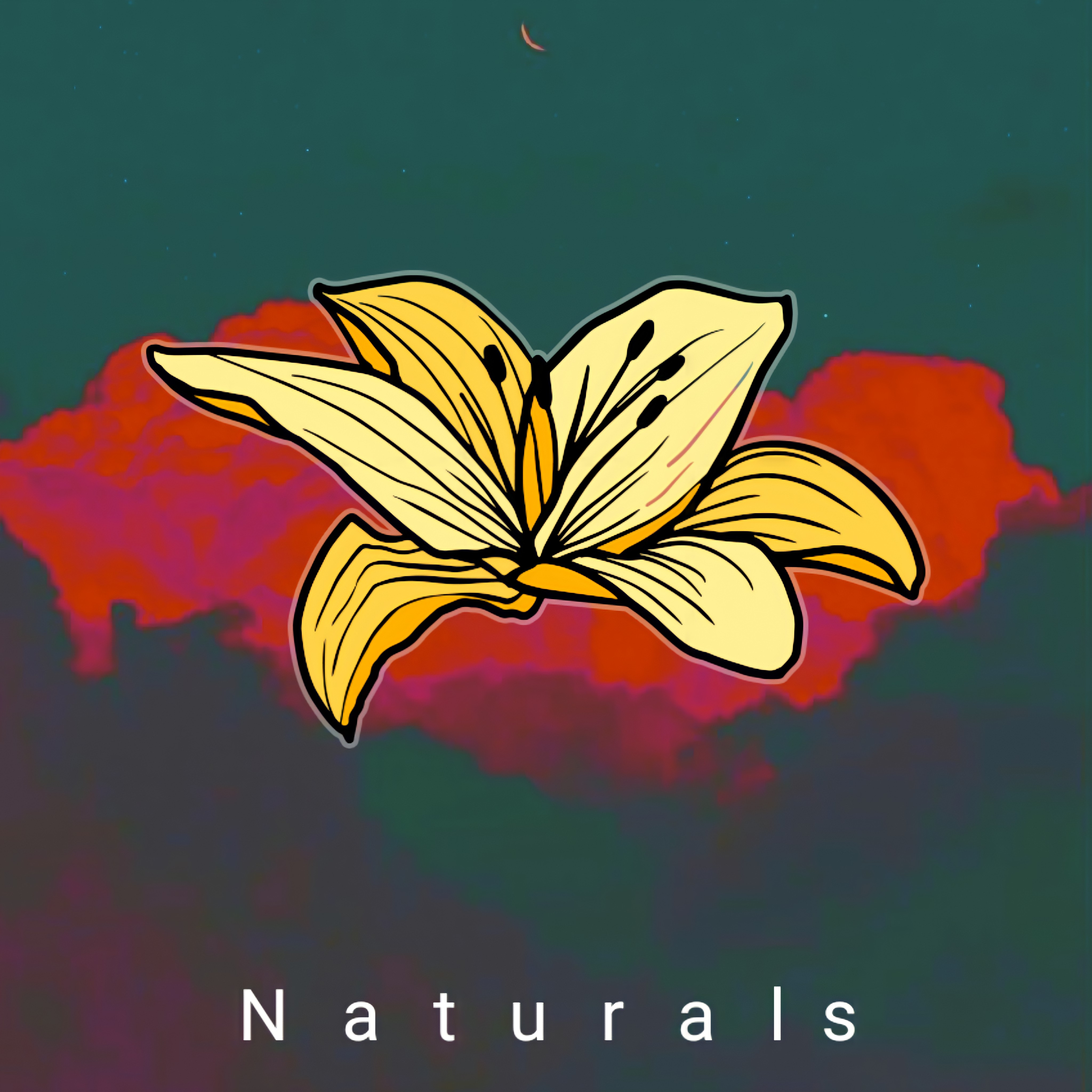 Naturals artwork