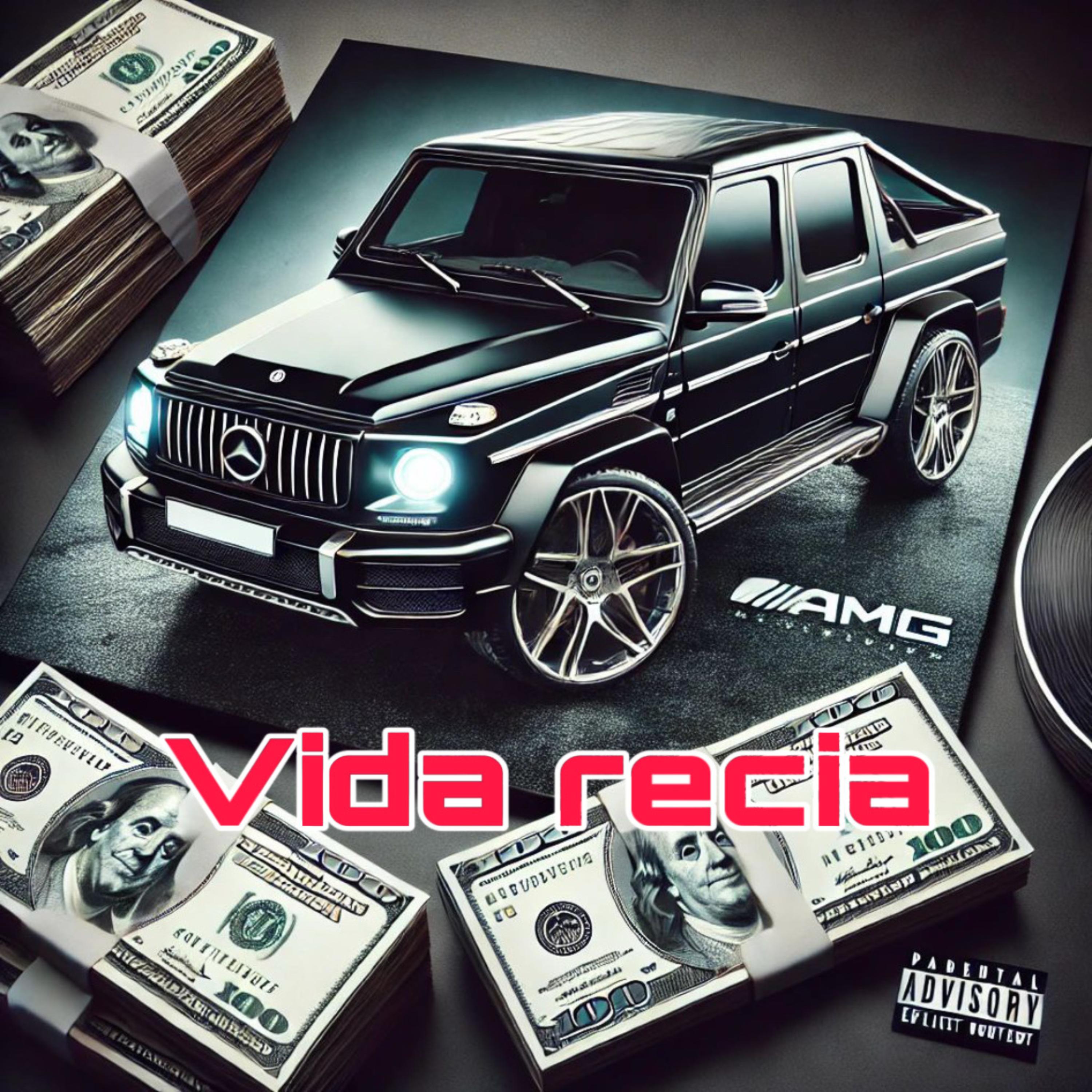 Vida Recia artwork