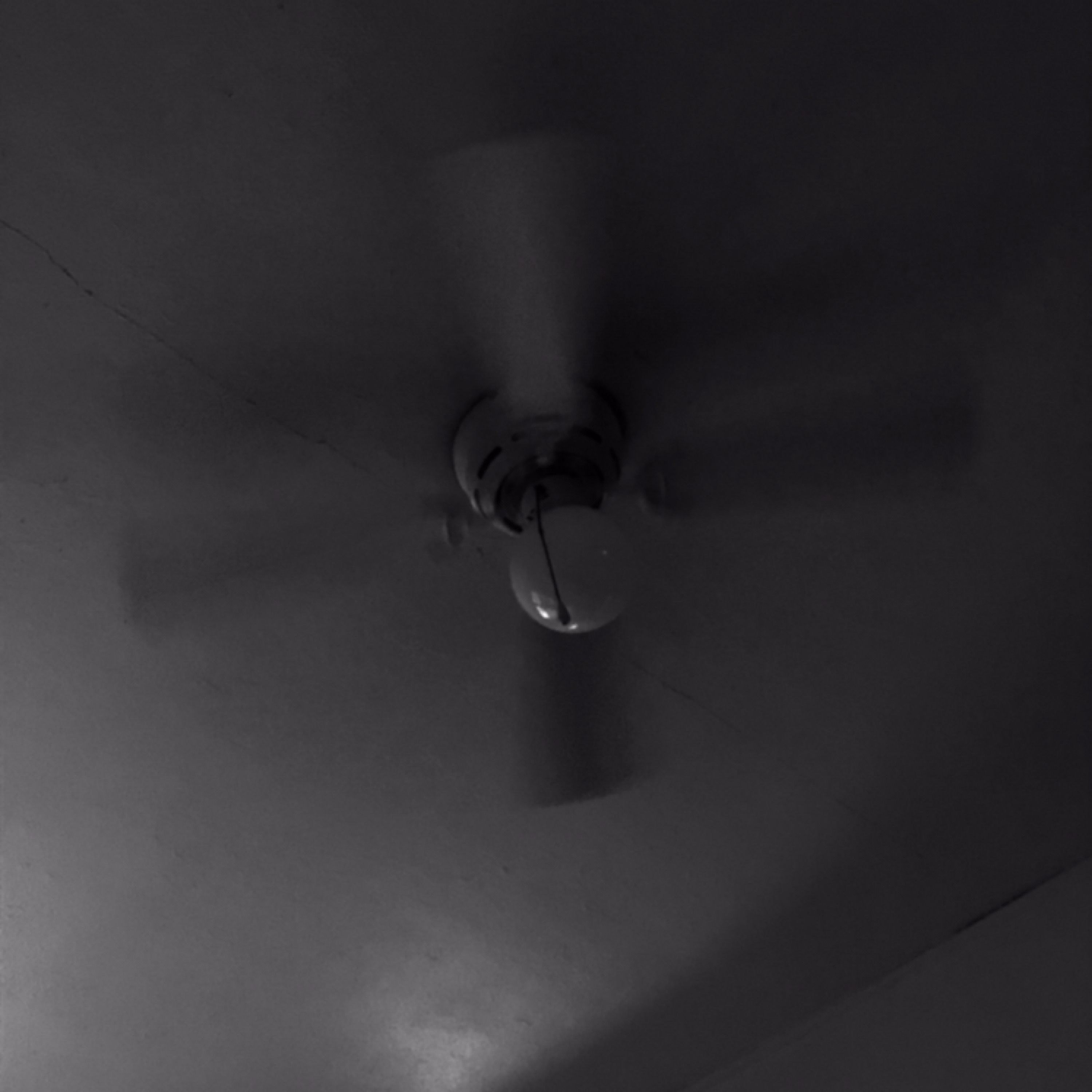 Ceiling Fans by Holy Mshairi cover art