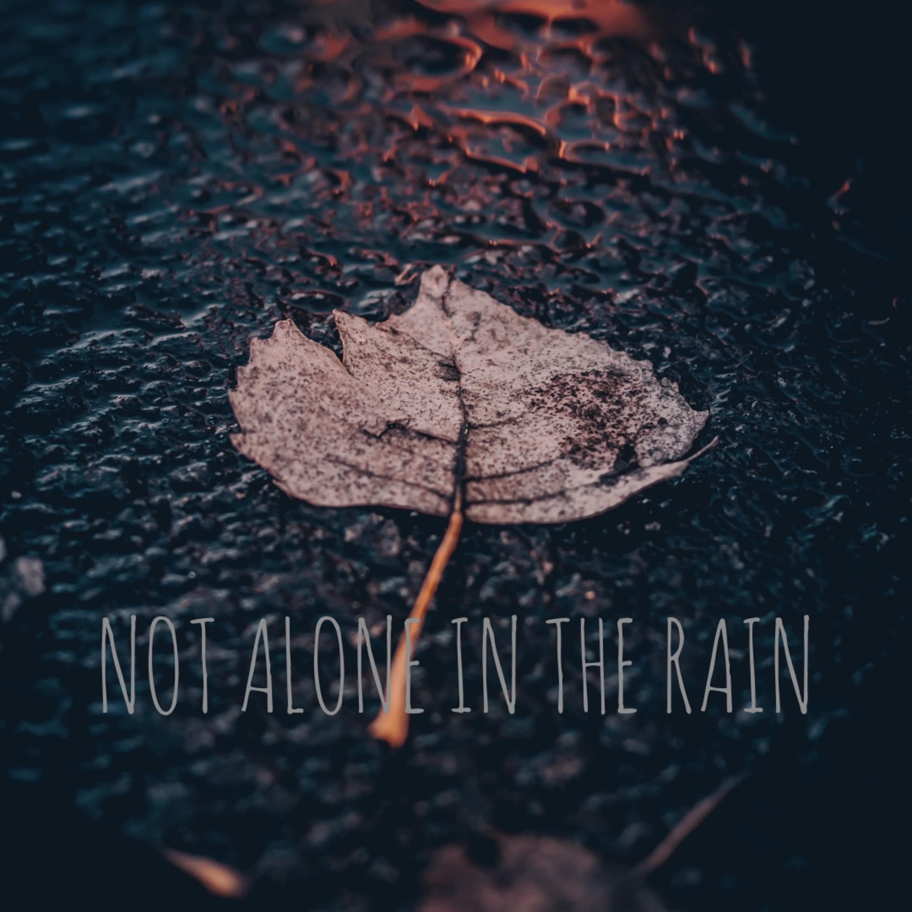 Not Alone In The Rain artwork